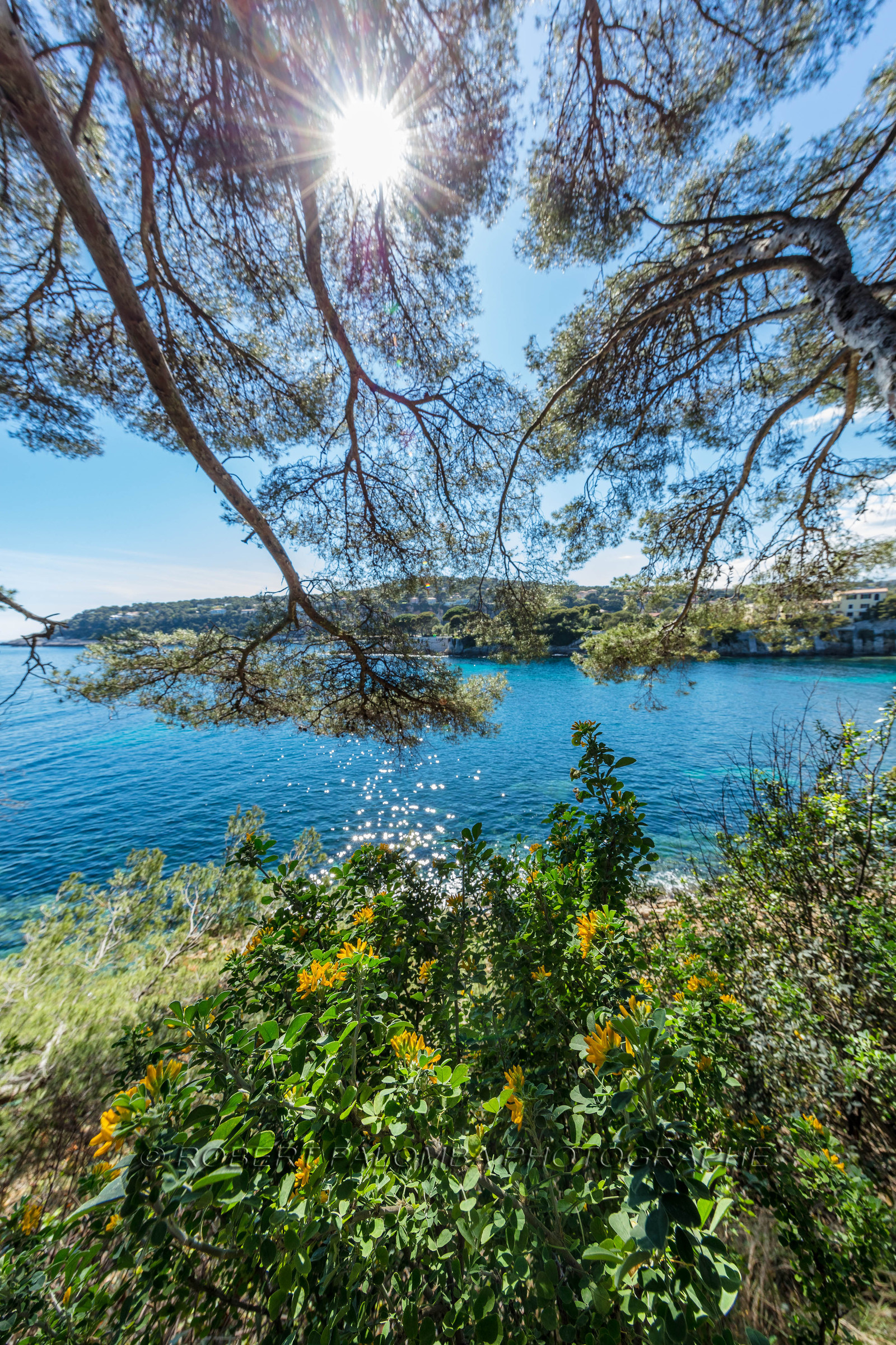 Saint-Jean-Cap-Ferrat.