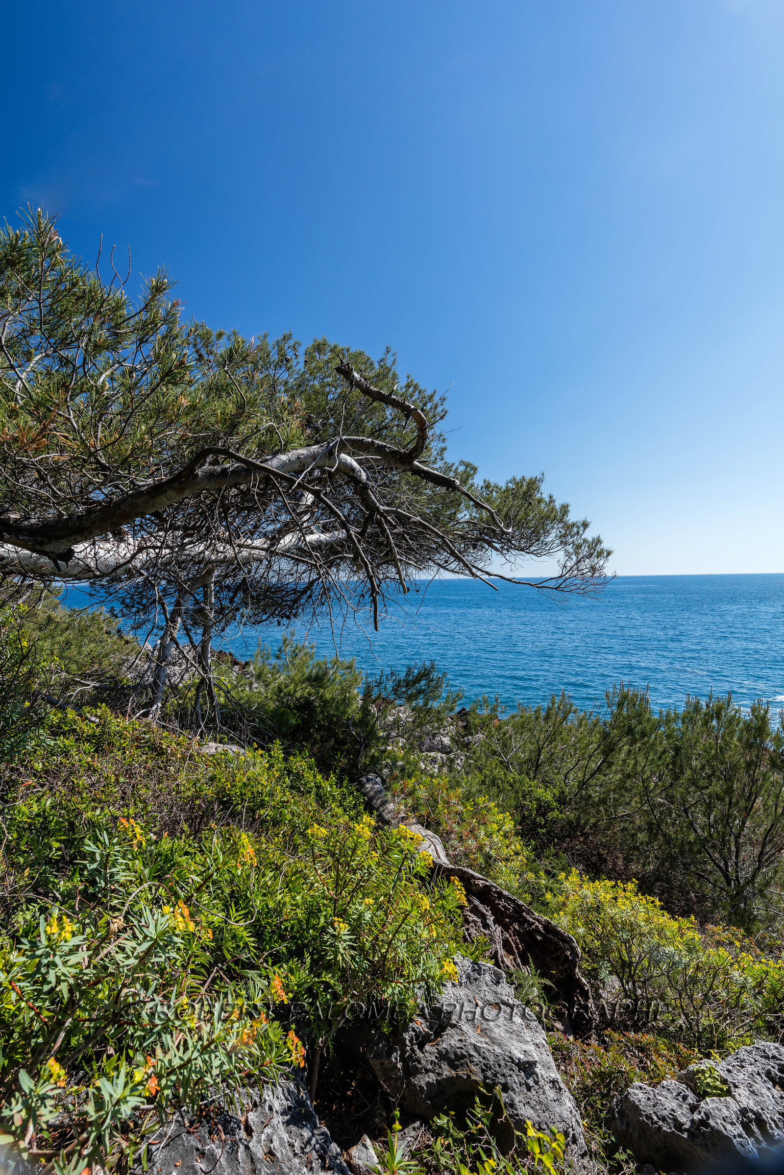 Roquebrune-Cap-Martin