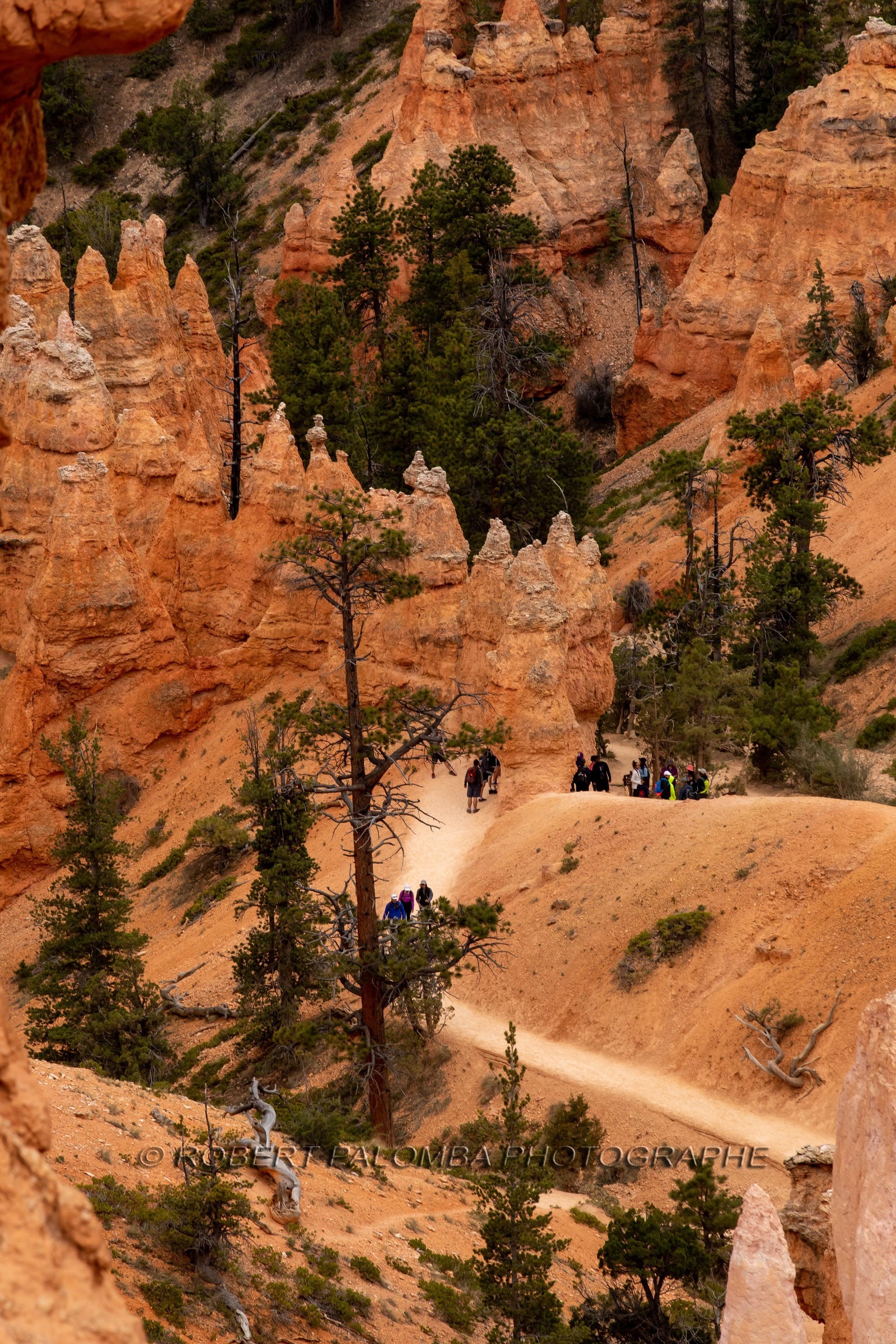 Bryce Canyon
