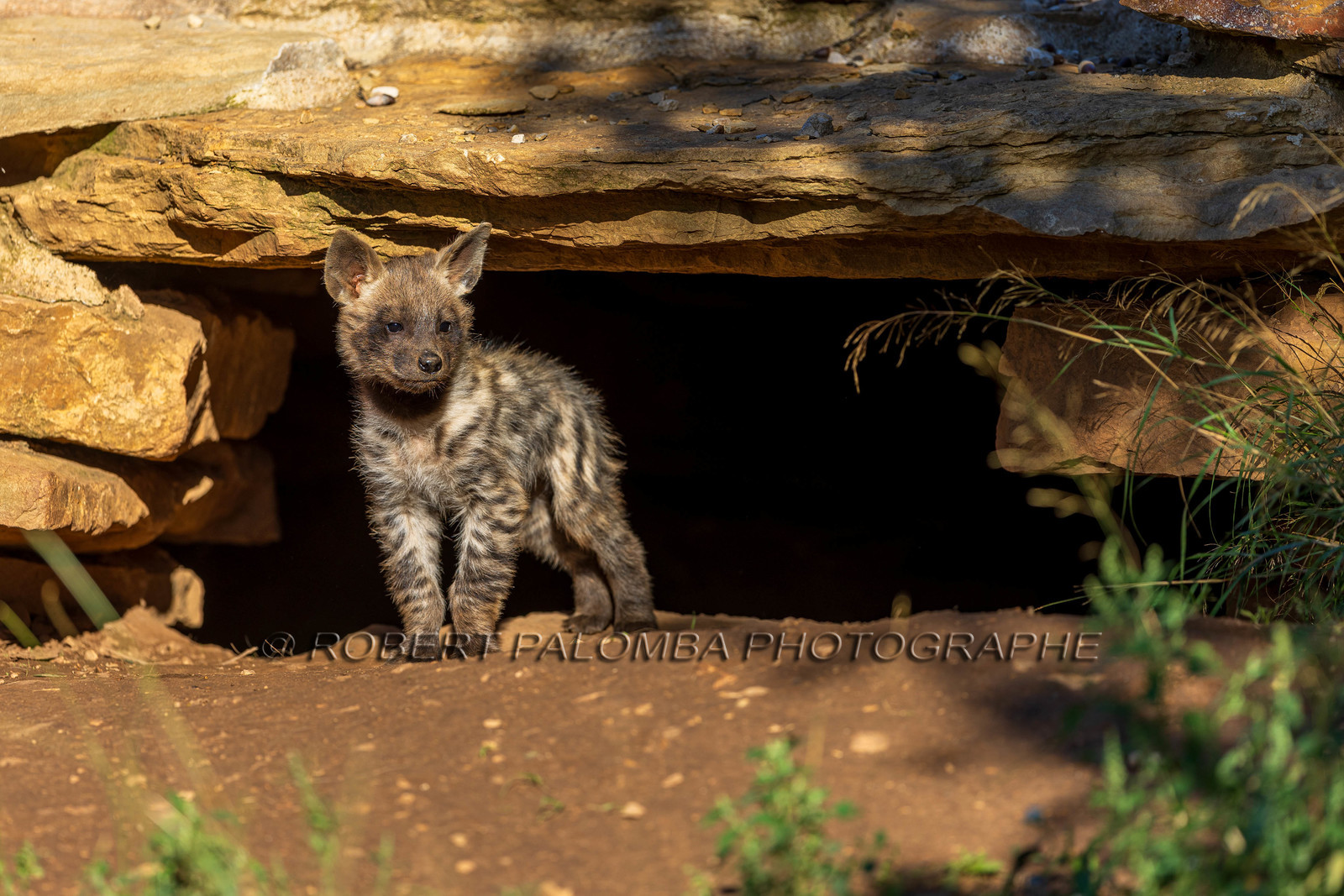 Parc animalier de la Barben