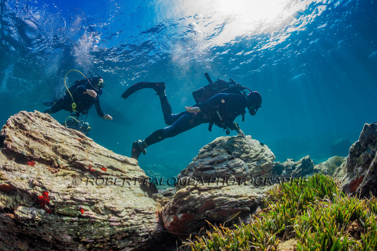 Plongée sous-marine
