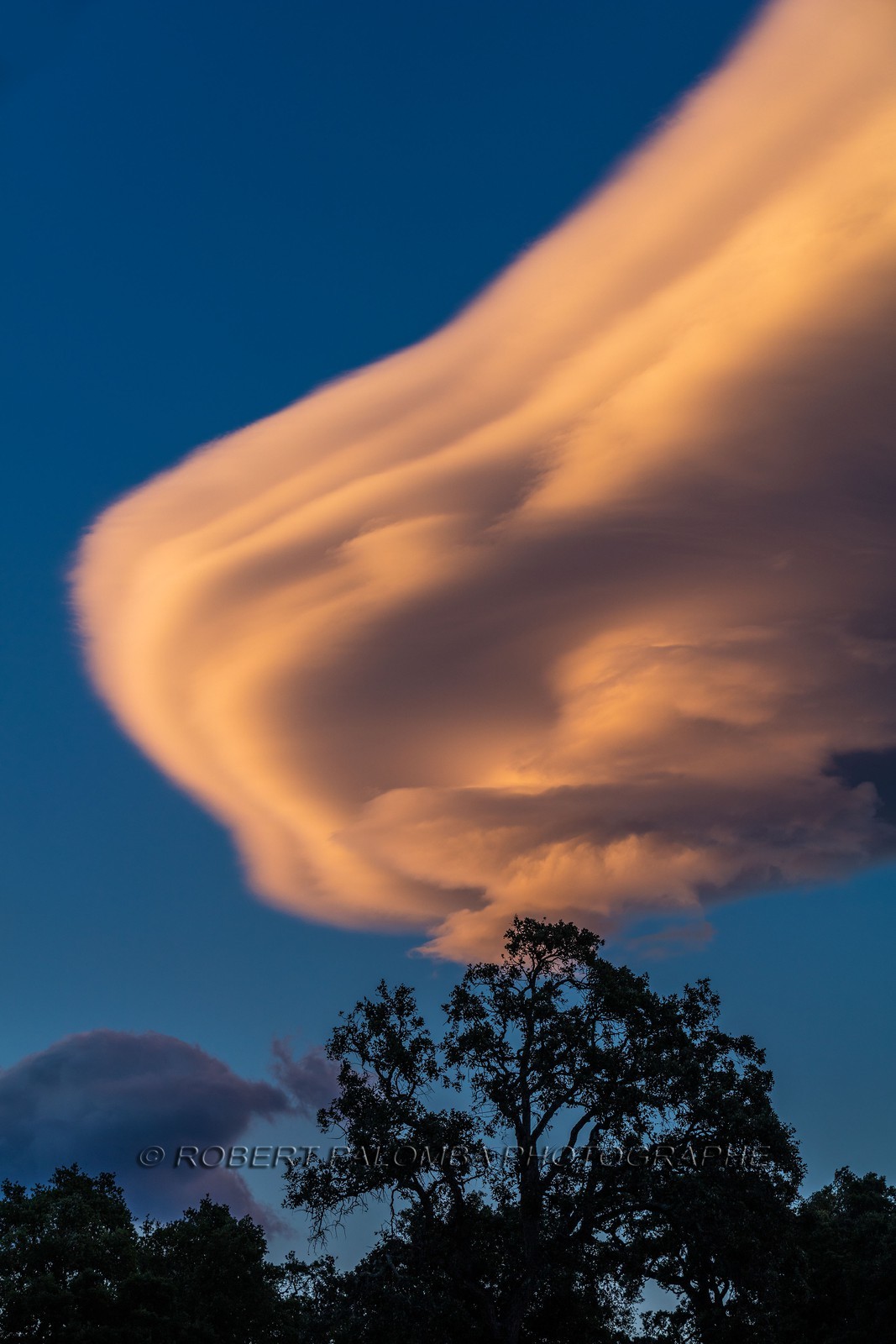 Lenticulaire