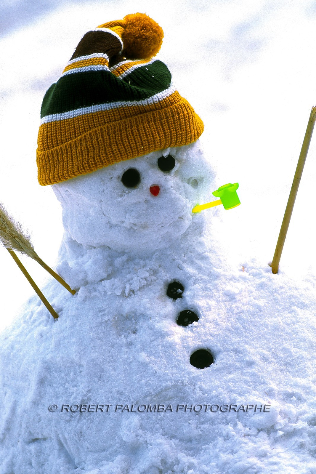 e mail robert.palomba@wanadoo.fr