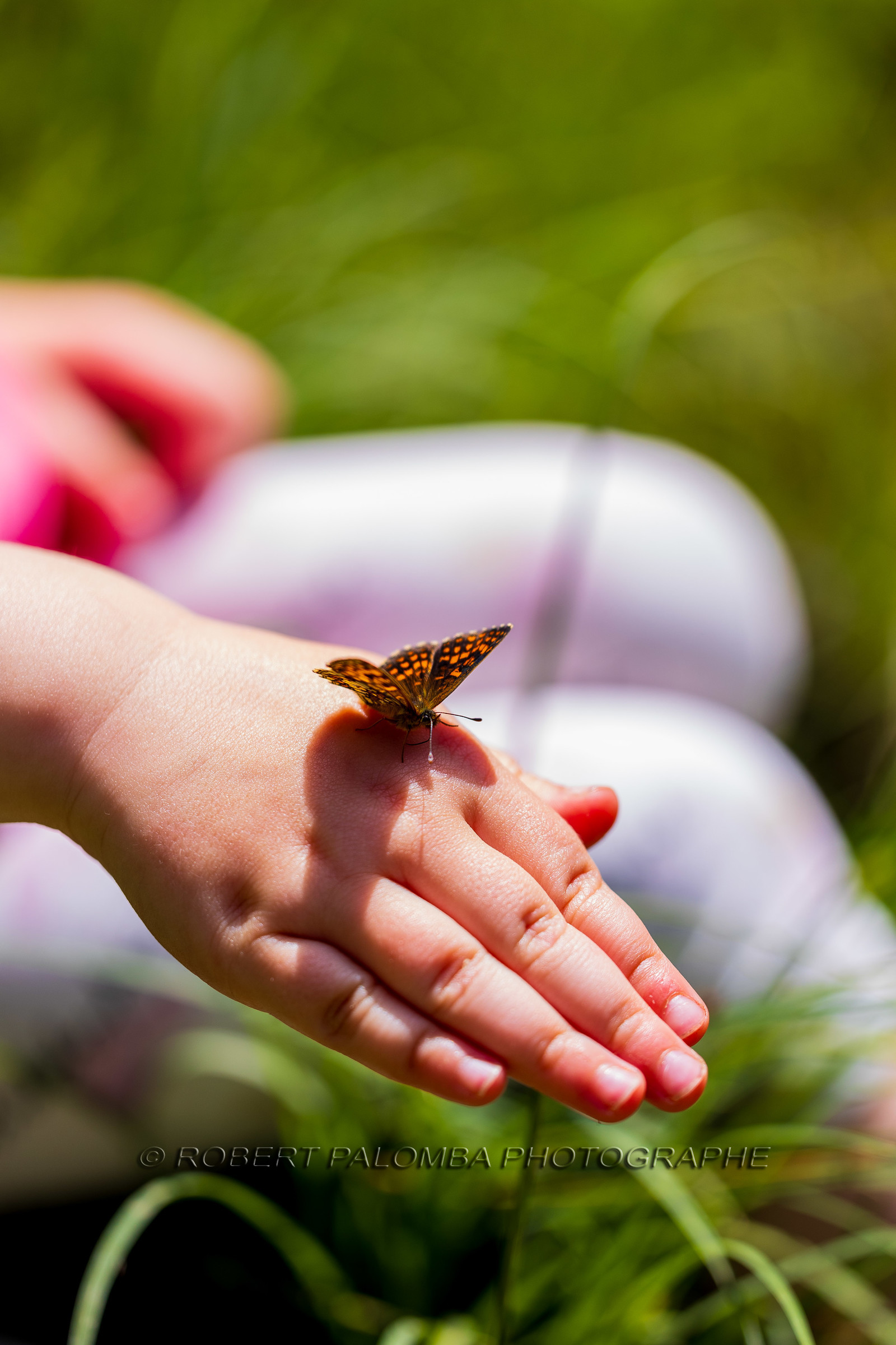 Alpes-de-Haute-Provence (04) Val d'Allos