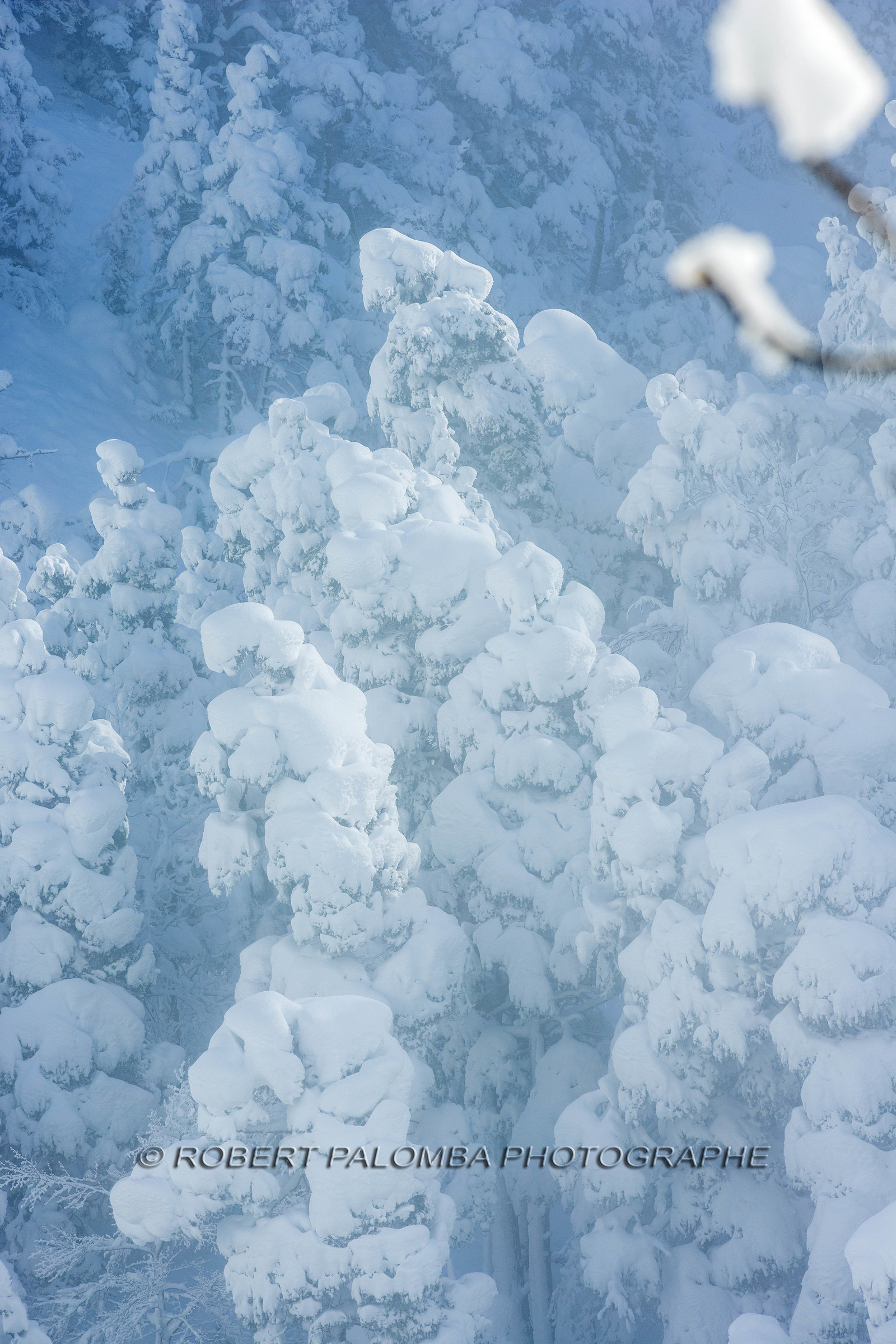 La-Colle-Saint-Michel