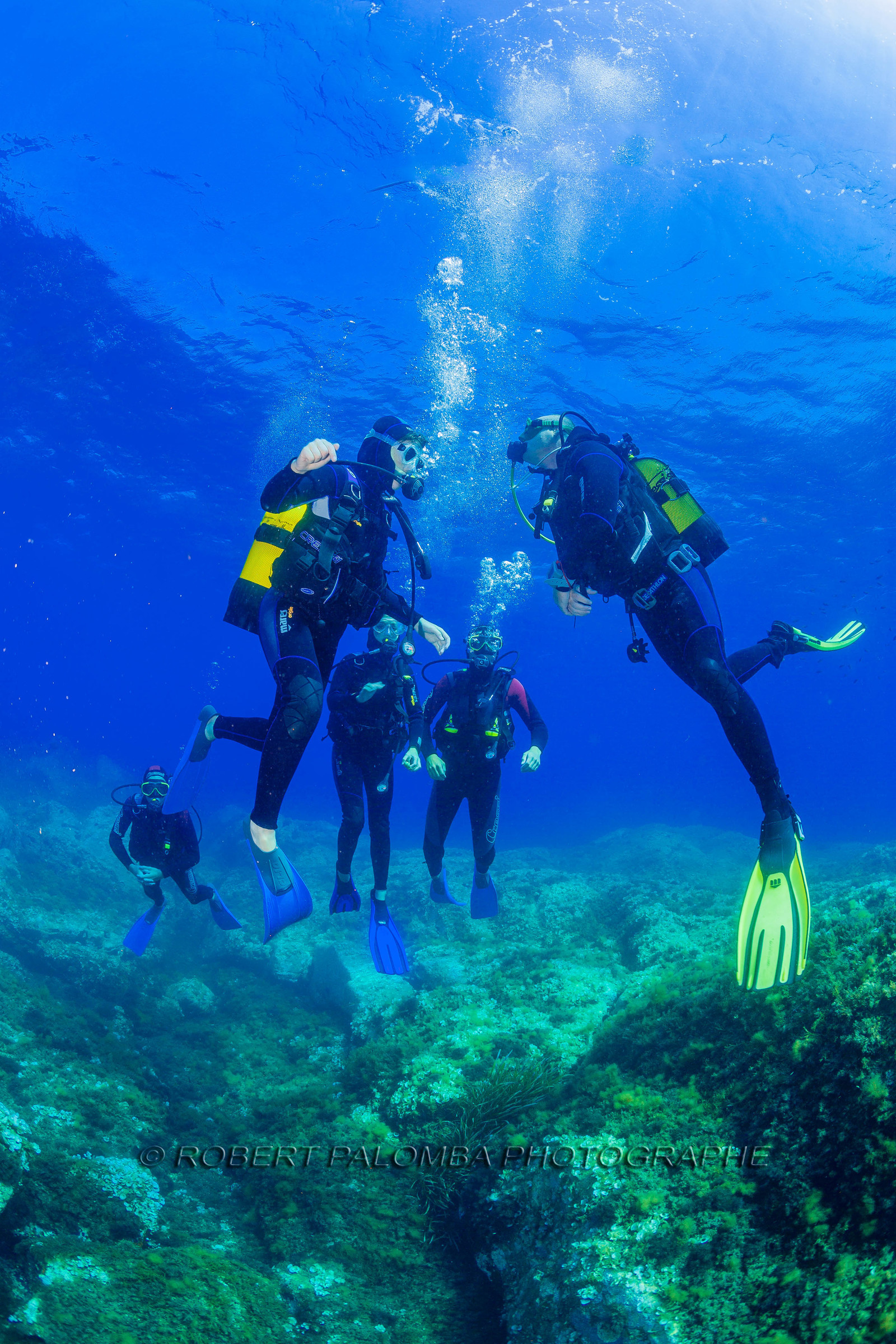 Plongée-sous-marine