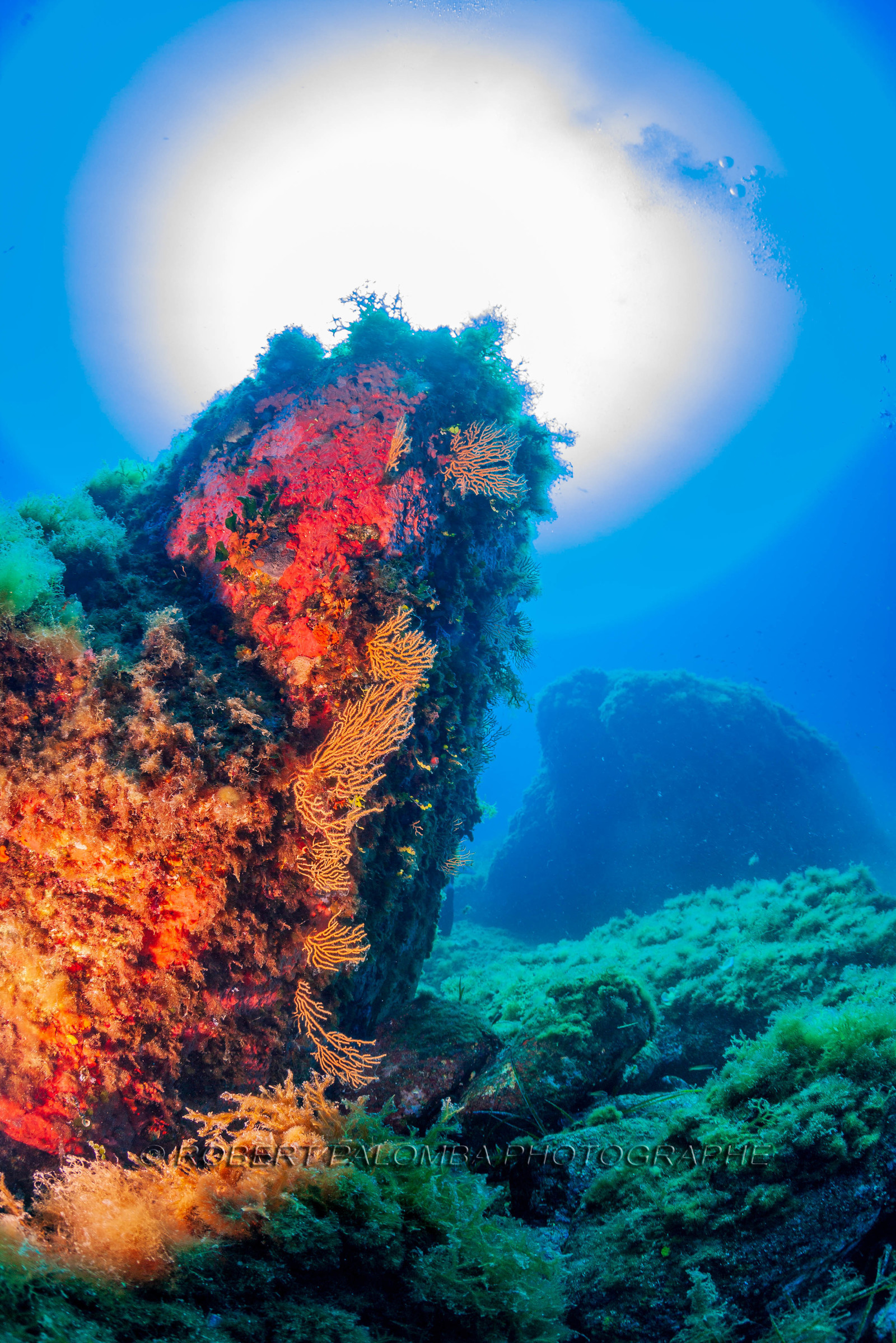 Plongée-sous-marine