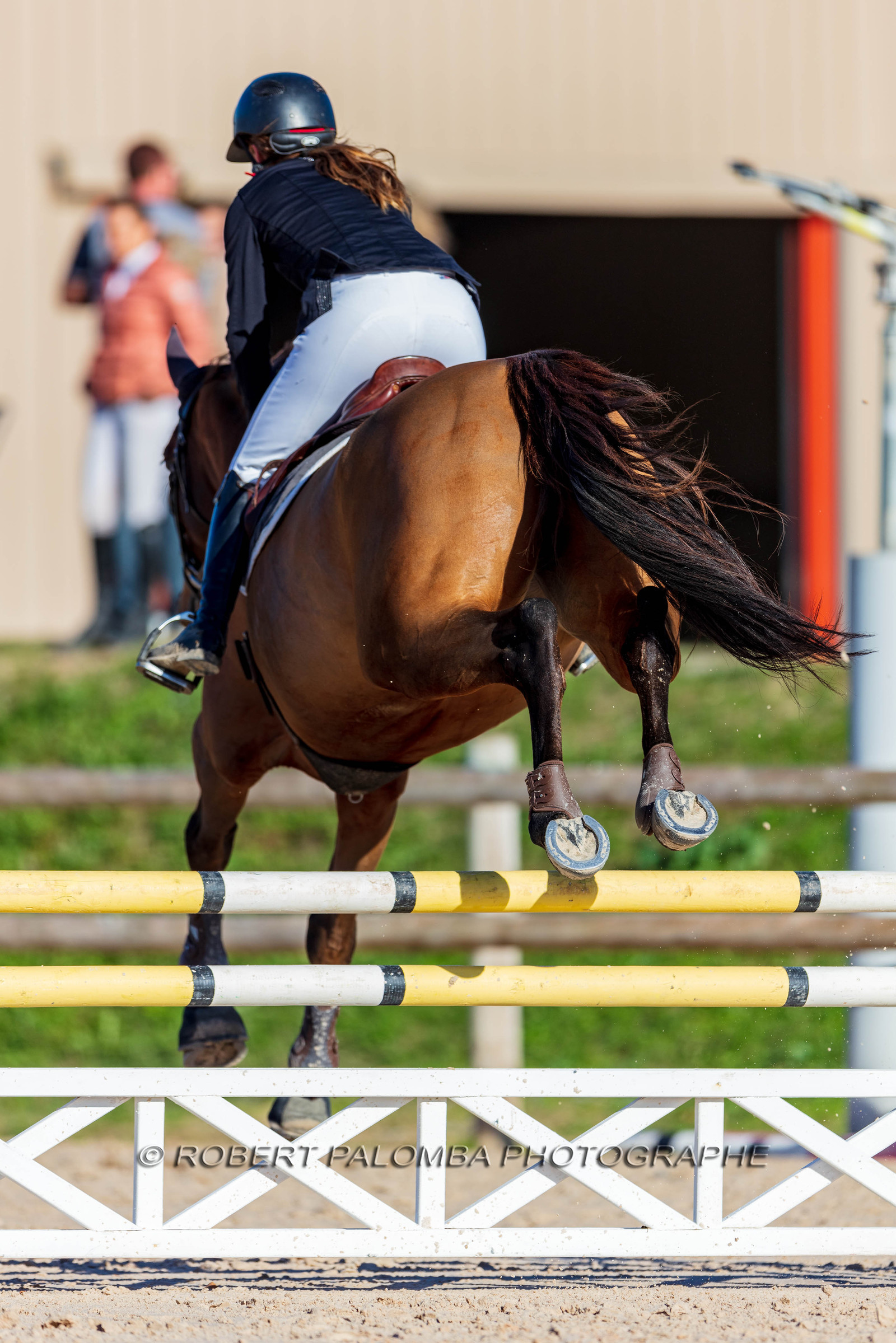 Equitation