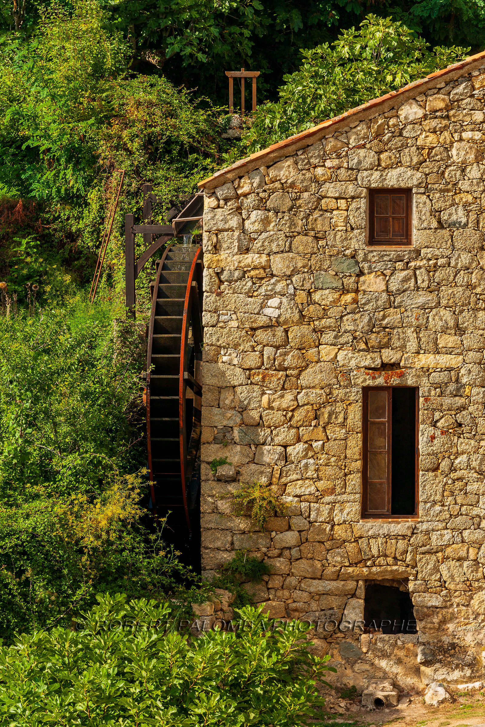 Sainte-Lucie-de-Tallano