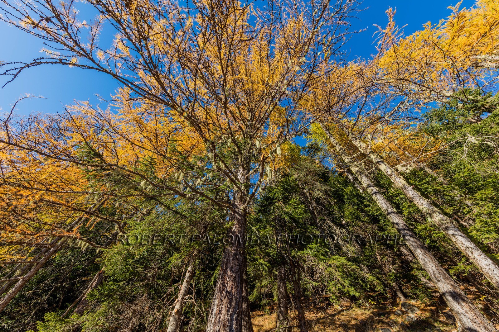 Granges de la Brasque