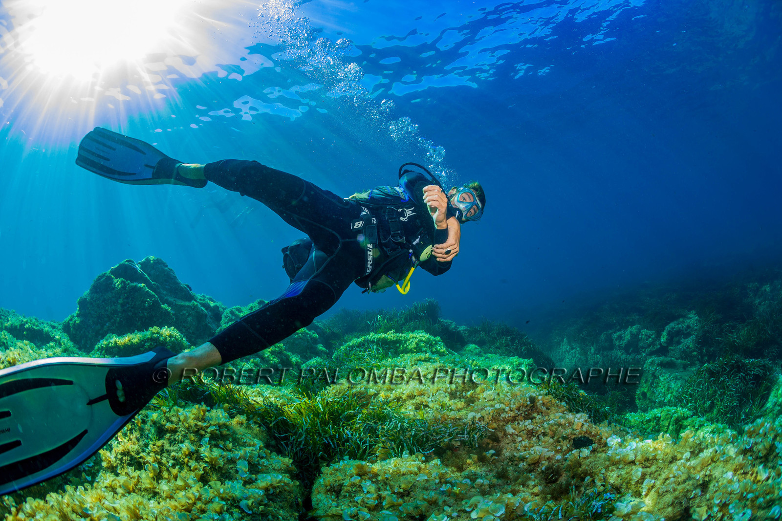 Plongée-sous-marine
