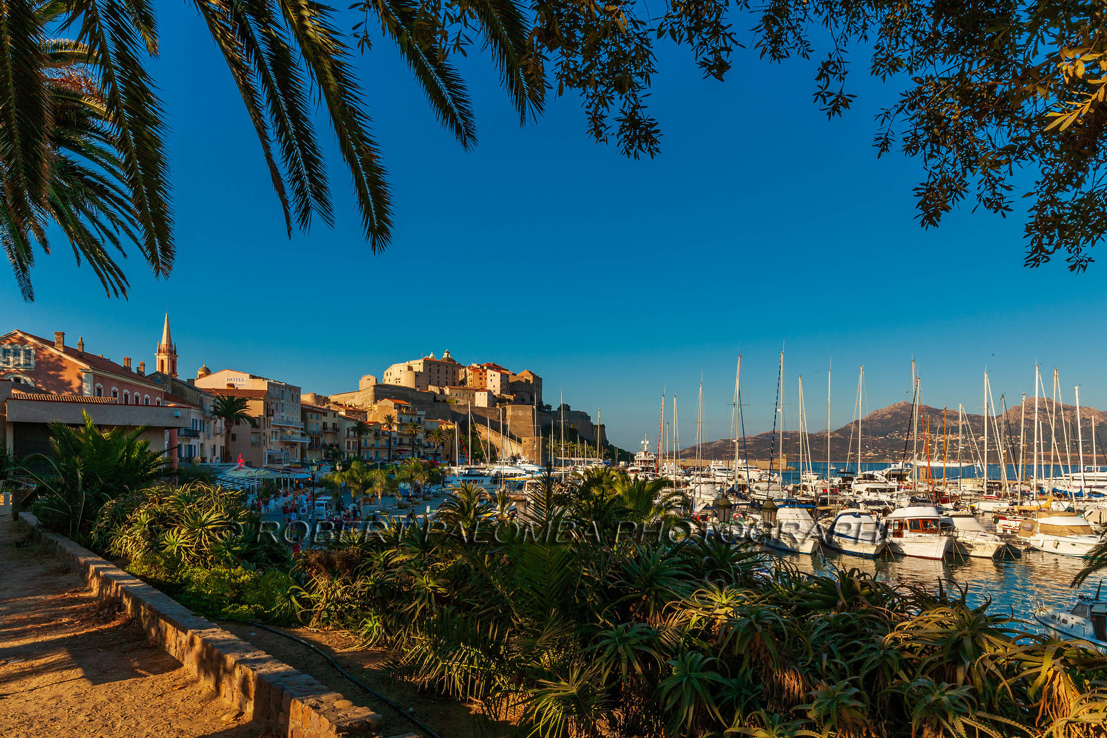 Calvi