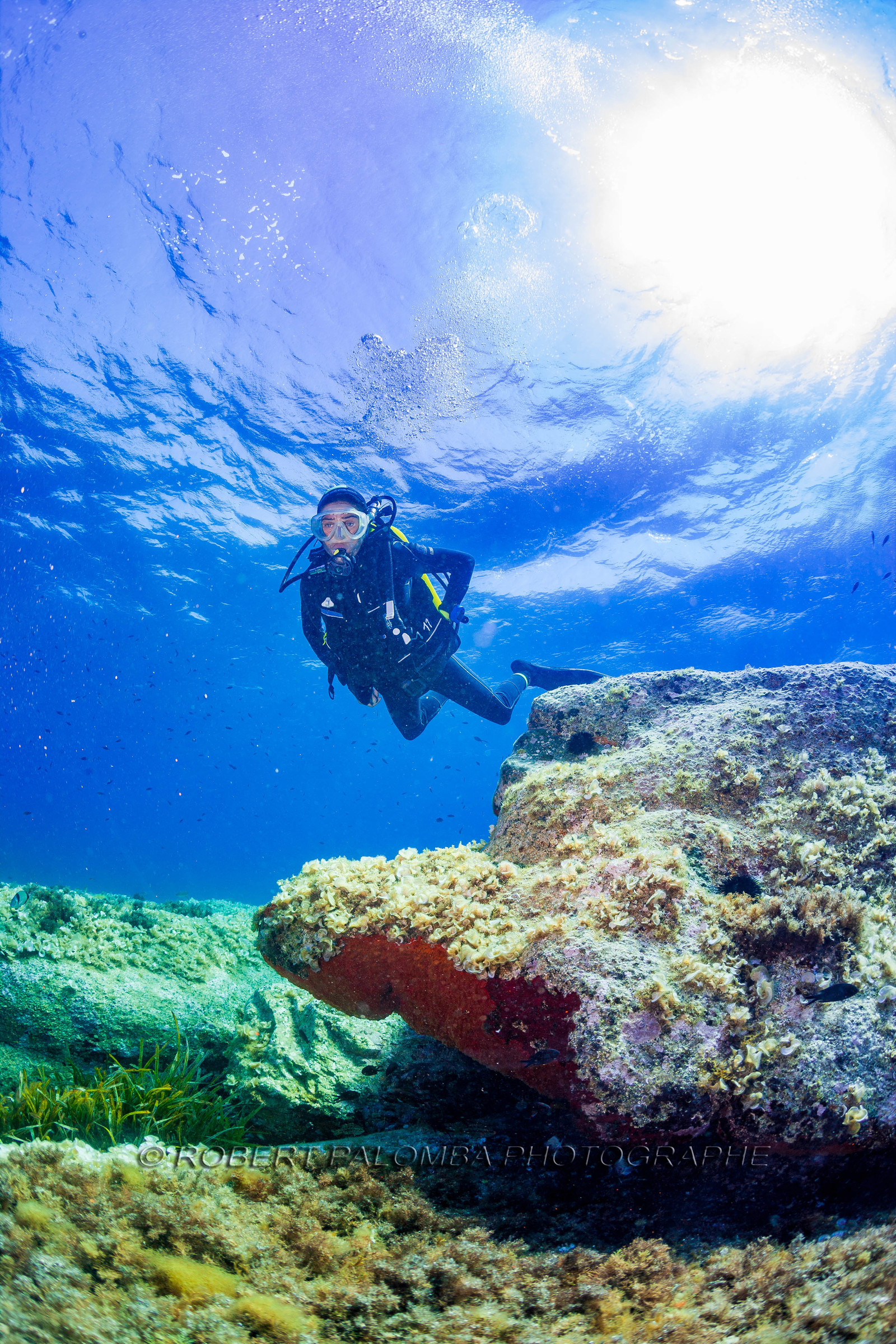 Plongée-sous-marine