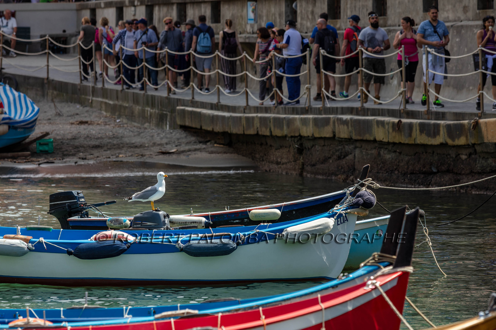 Cinque Terre