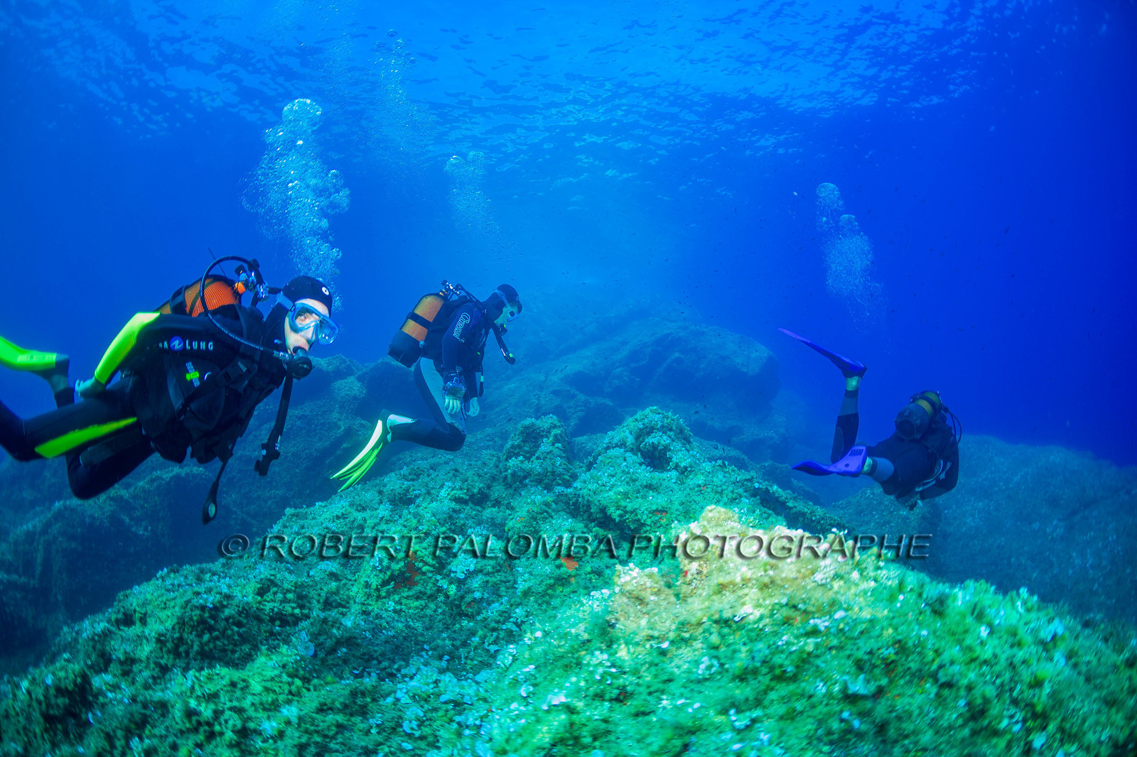Plongée-sous-marine