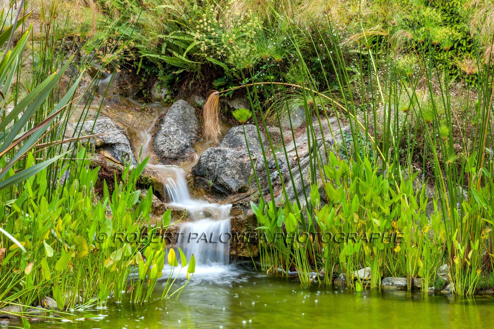 Saint-Jean-Cap-Ferrat