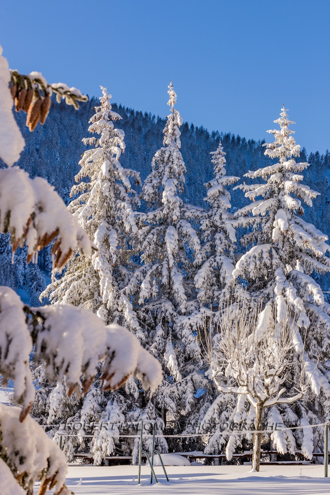 La Colle-Saint-Michel