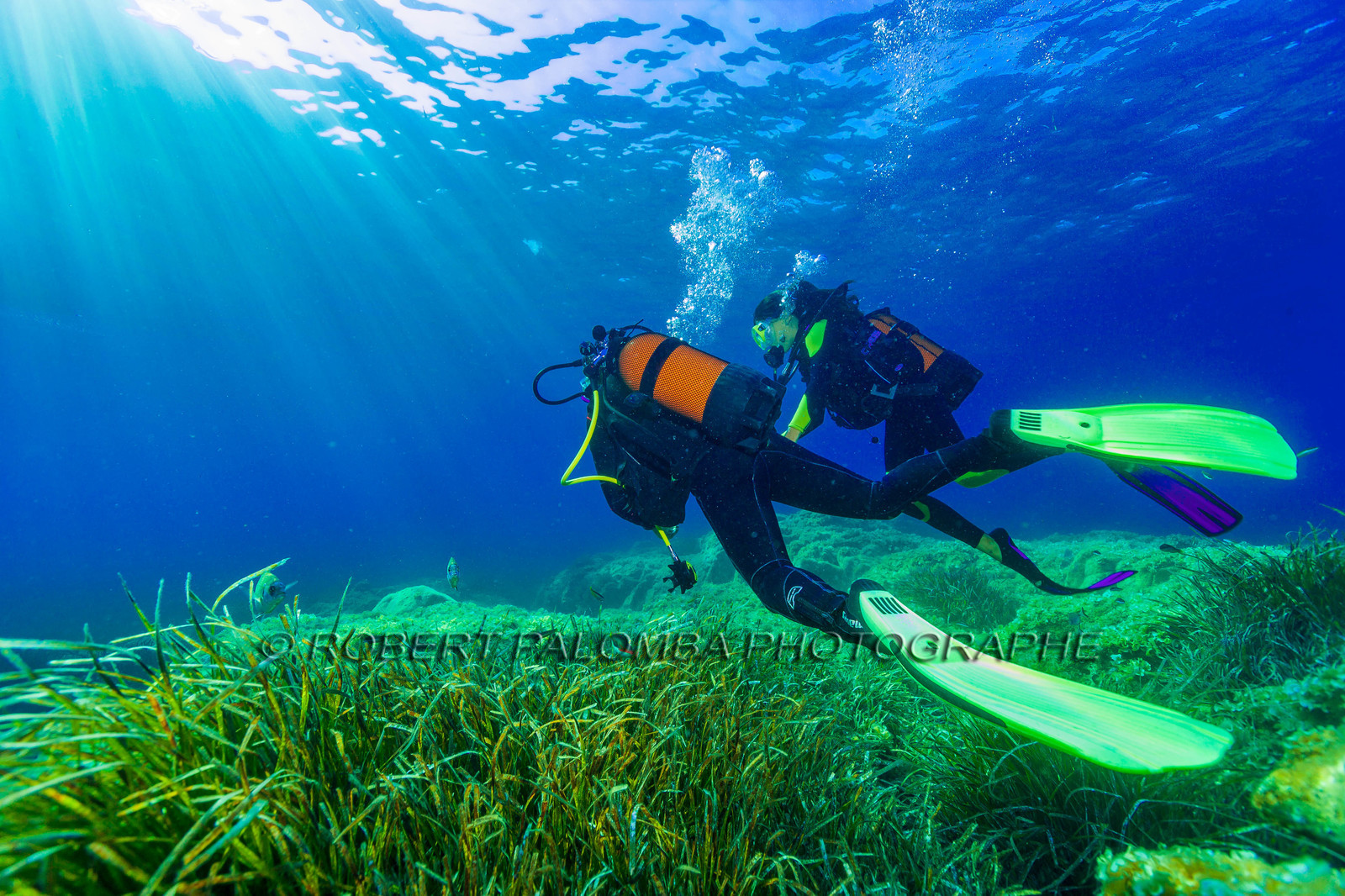 Plongée-sous-marine