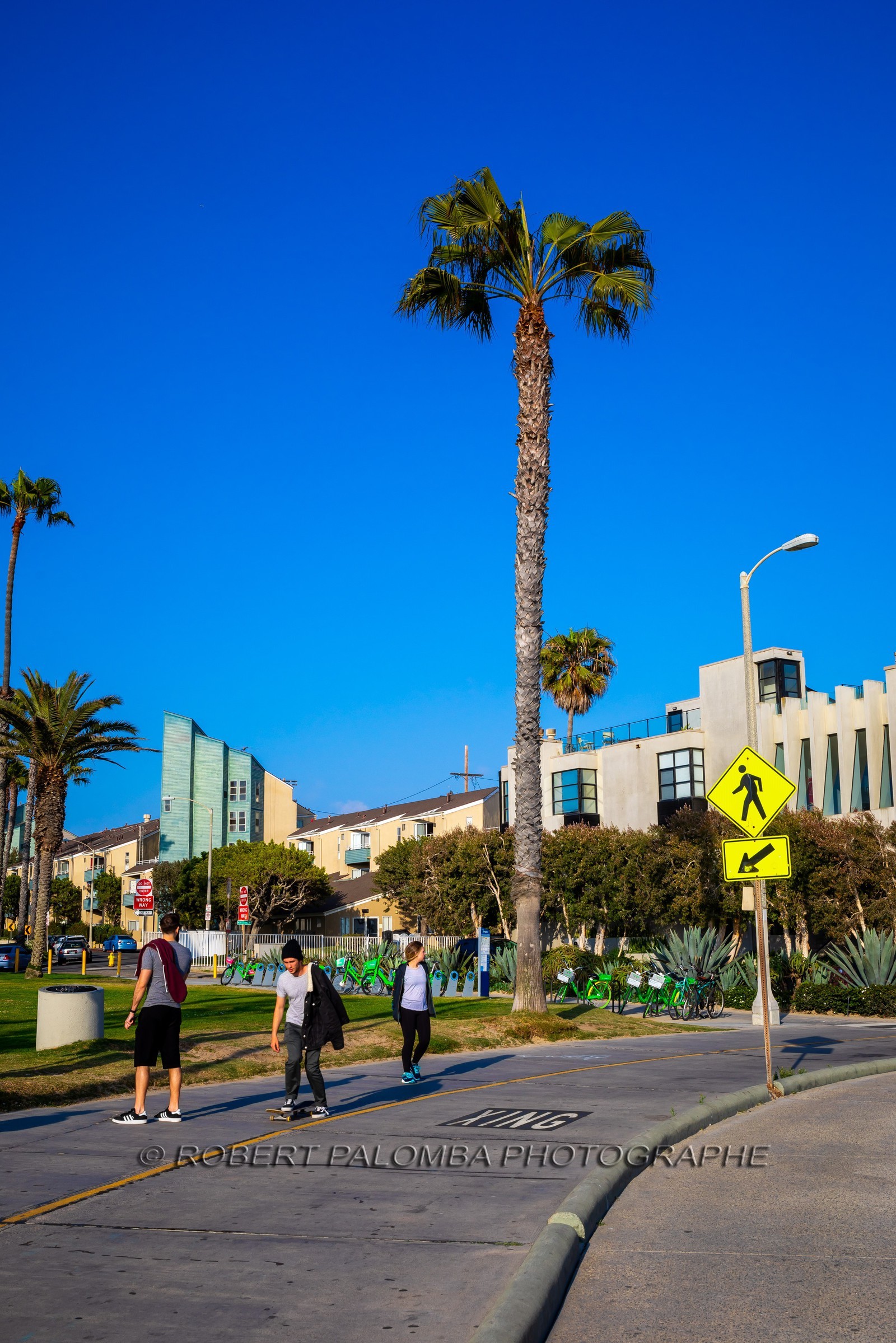Etats-Unis, Californie-du-Sud, Los Angeles, Venice, Venice Beach