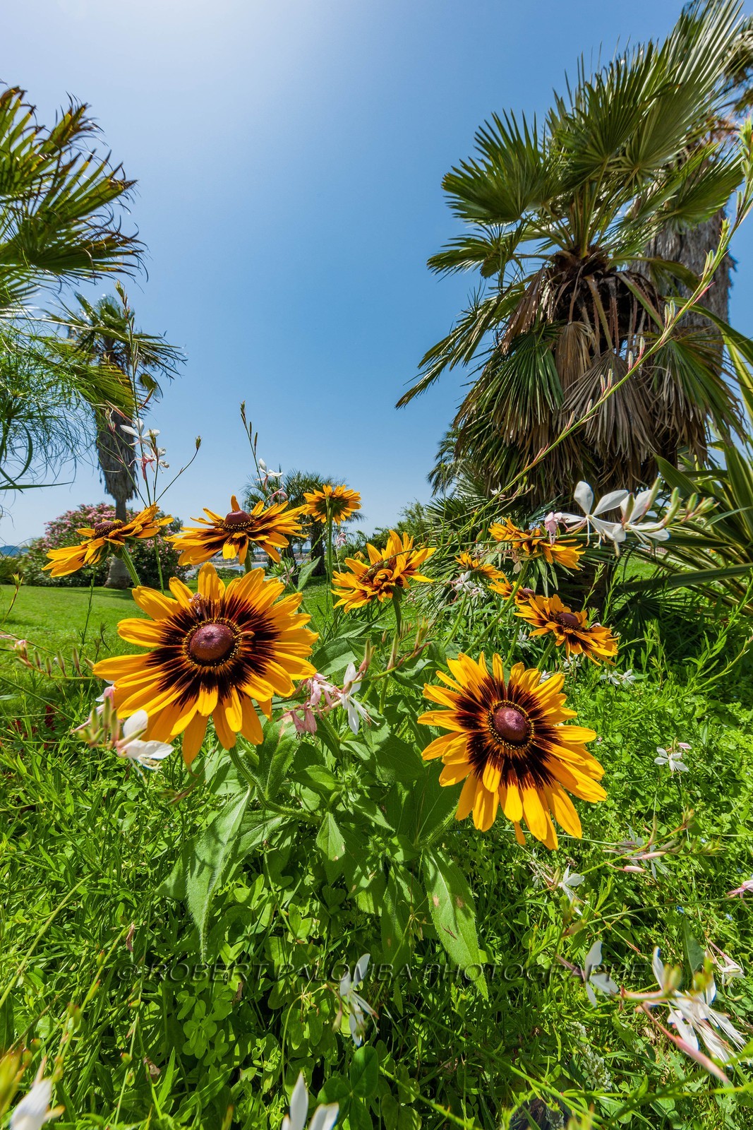 Six-Fours-les-Plages