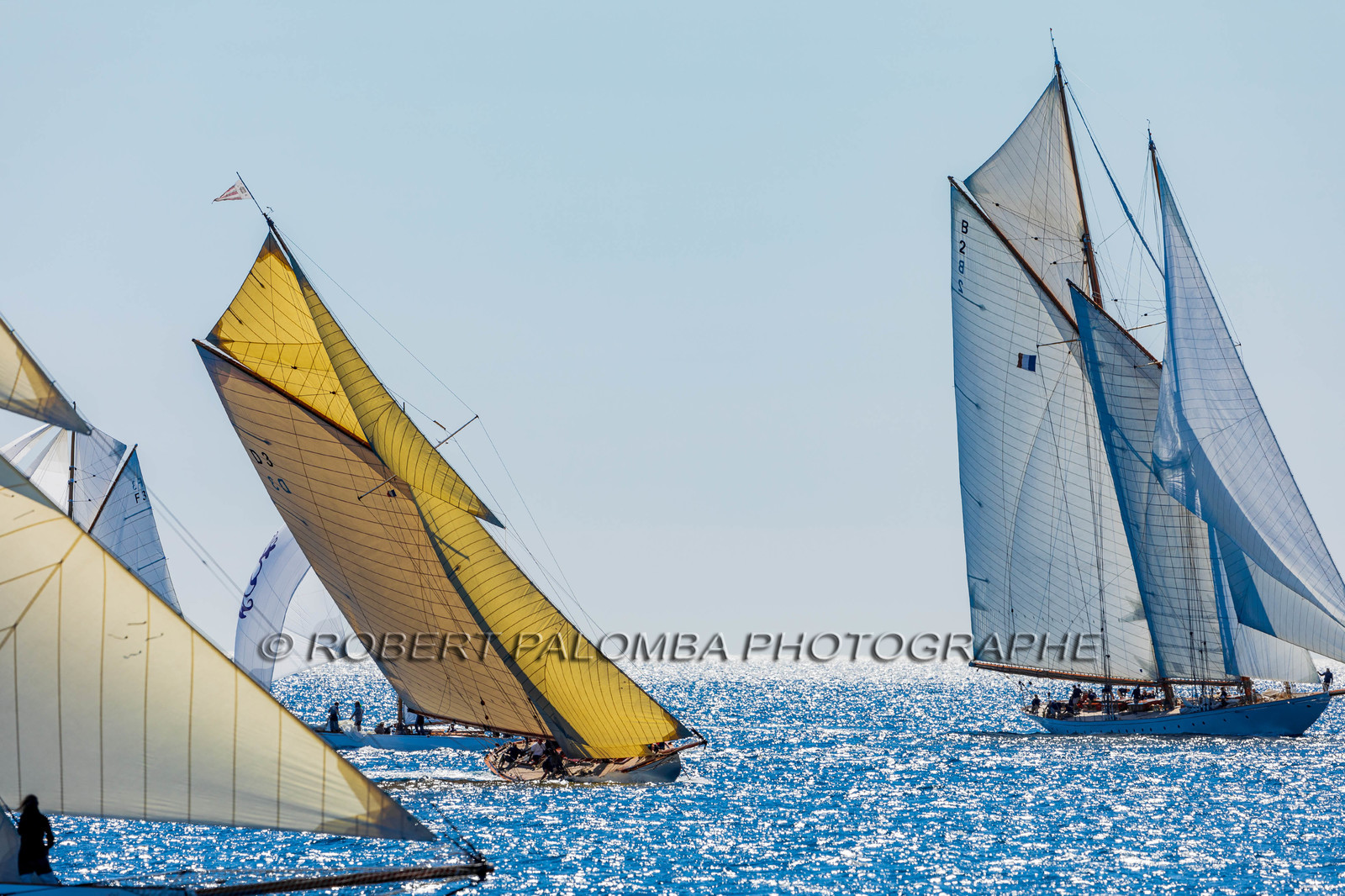 Régates Royales