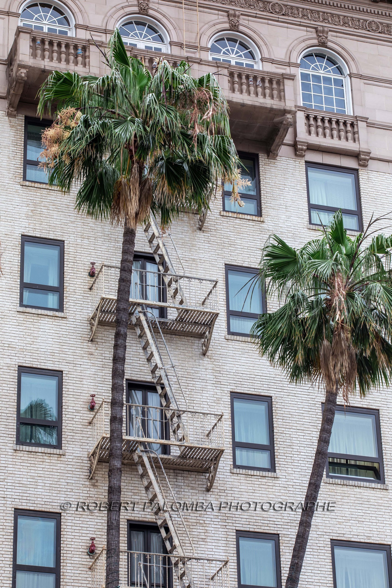 United States, South California, Los Angeles, Rodeo Drive