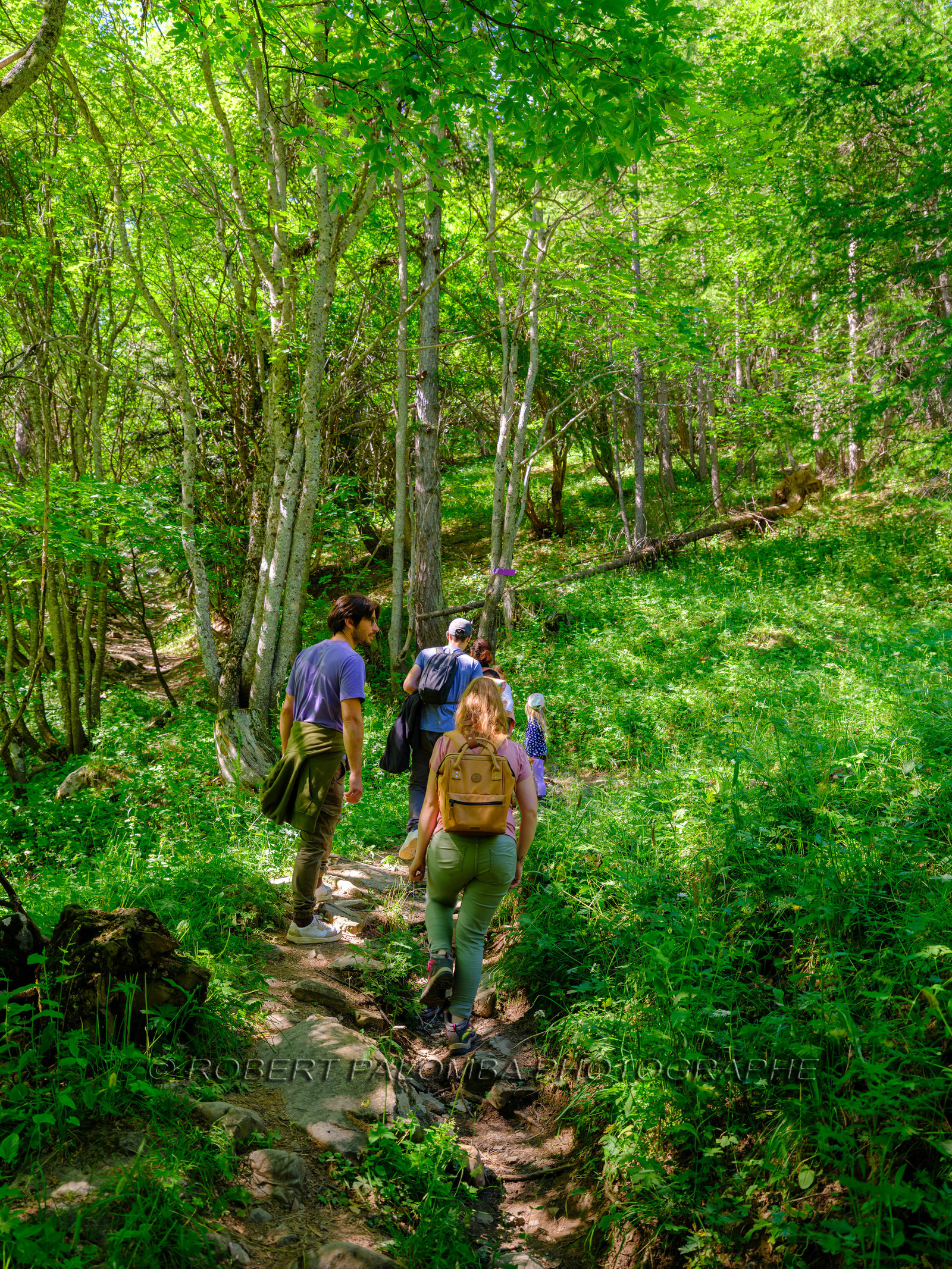 Rando Lac des Grenouilles