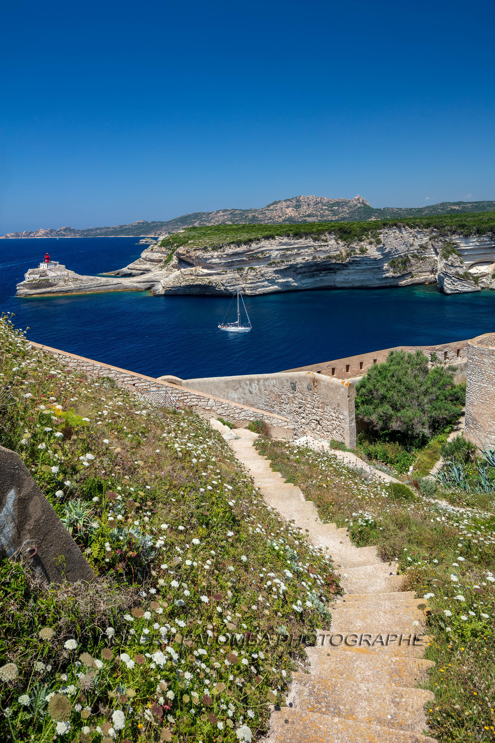 Bonifacio