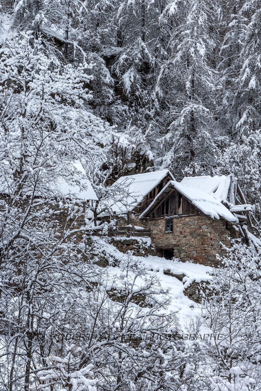 Saint-Dalmas-le-Selvage