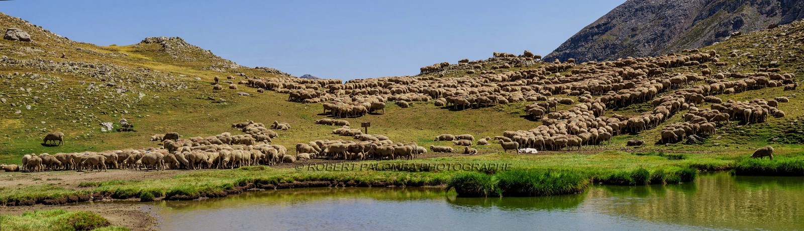 Rando Vtt Lacs de Lignin