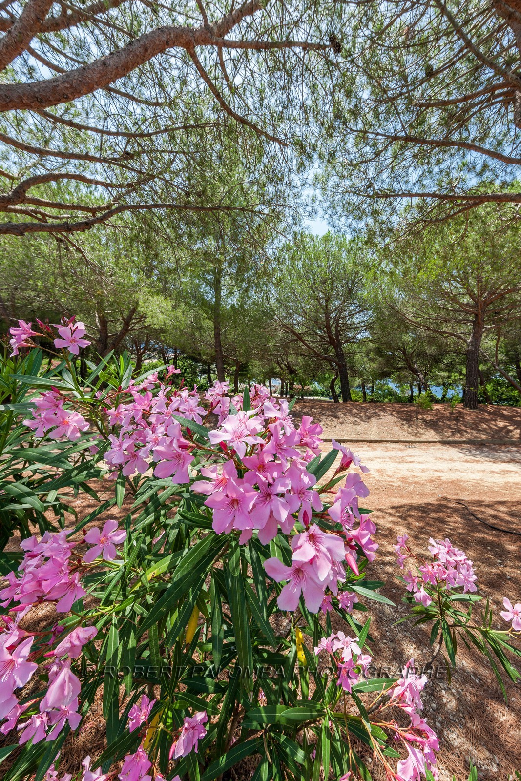 Six-Fours-les-Plages