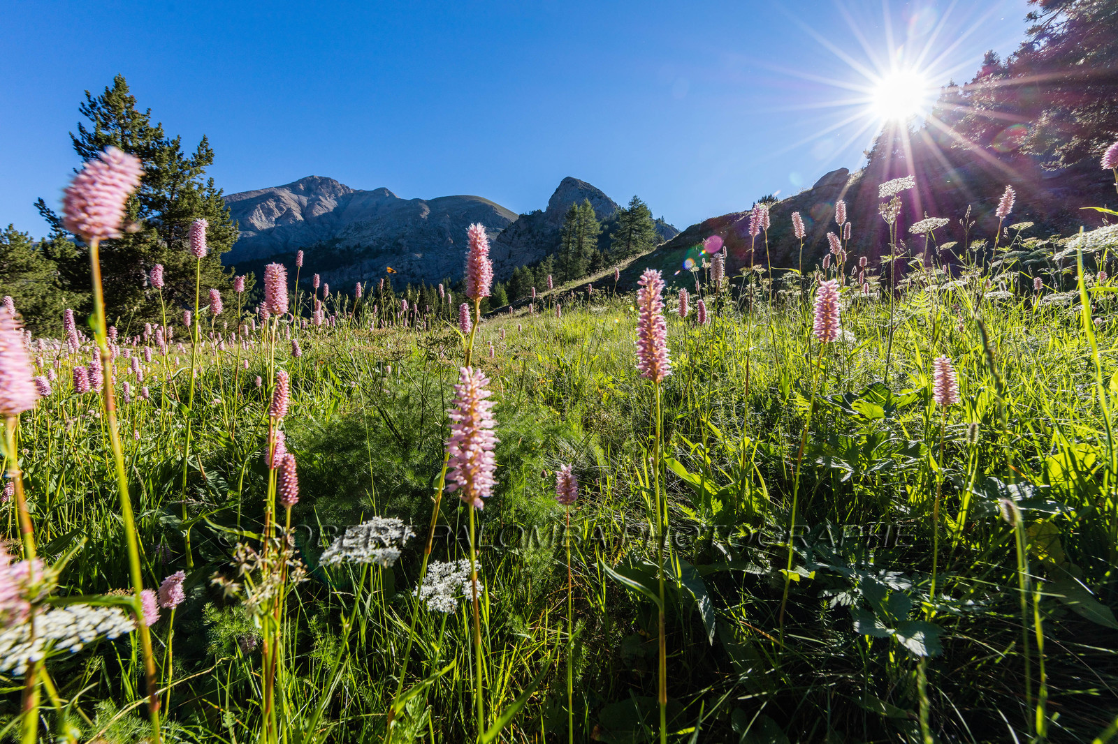 Lac d'Allos