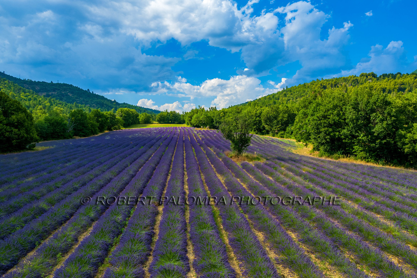 Le Chaffaut-Saint-Jurson
