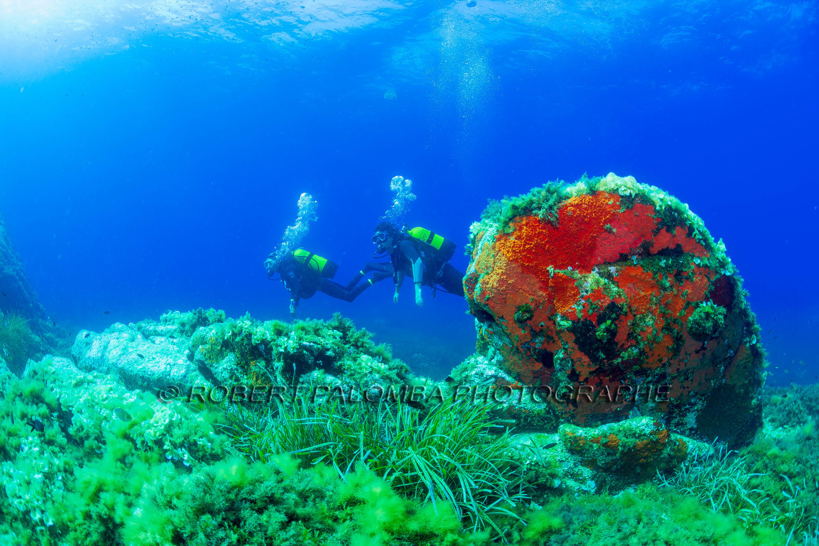 Plongée-sous-marine