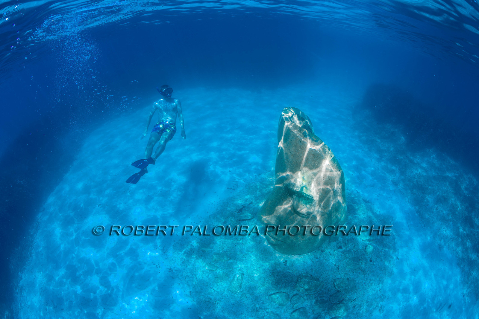 Lérins Sainte-Marguerite