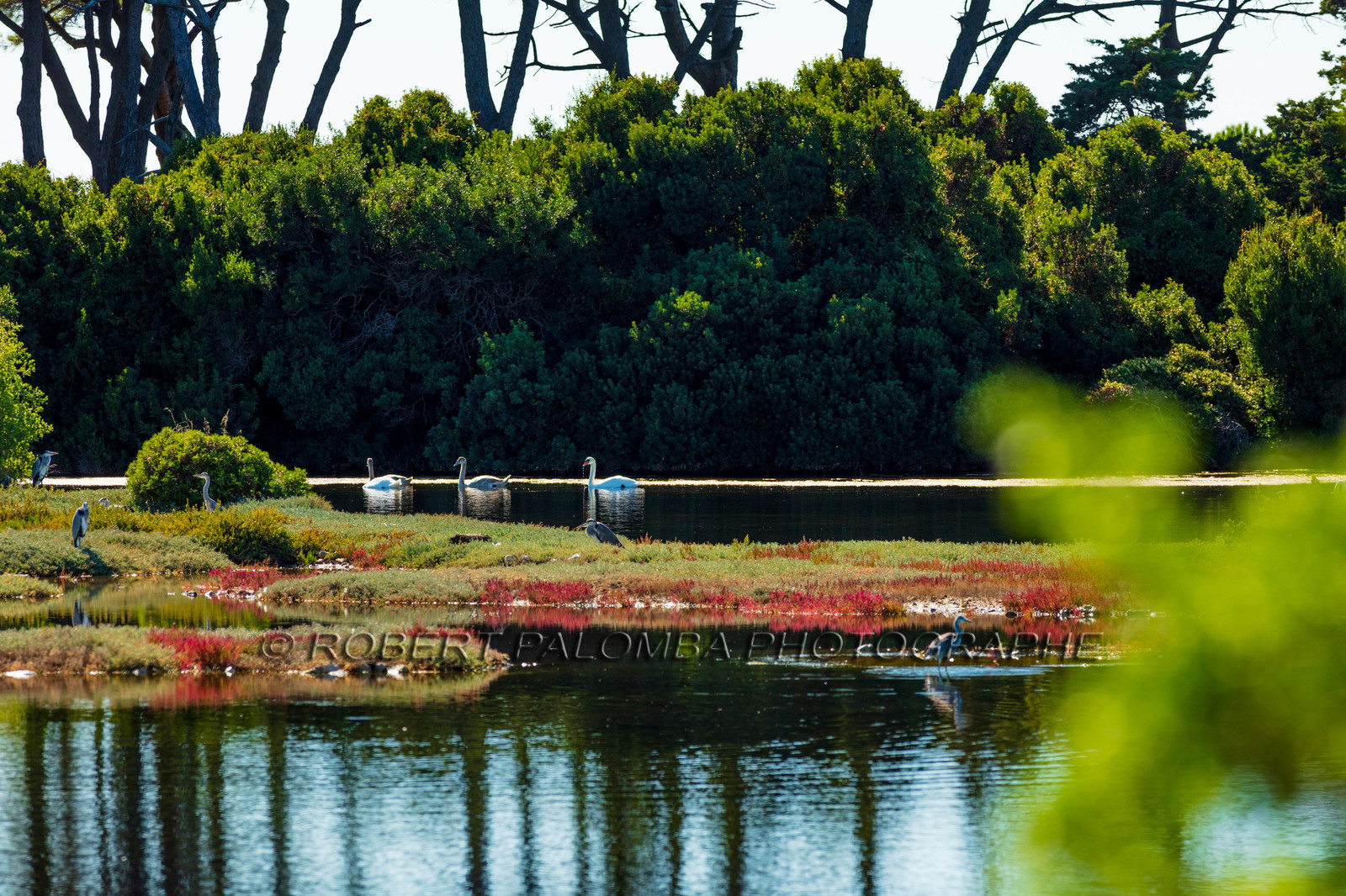 Lérins, Sainte-Marguerite