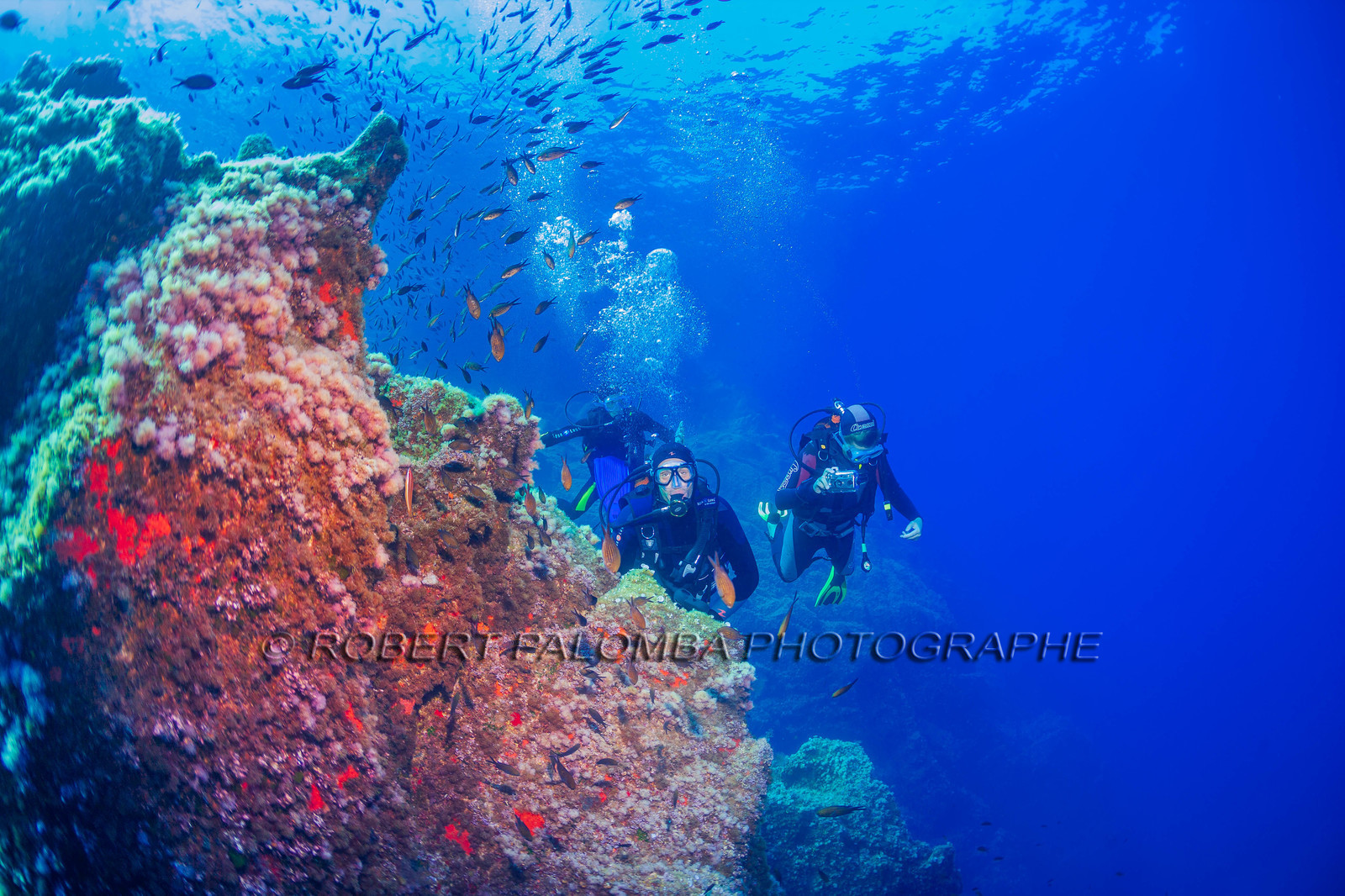 Plongée-sous-marine