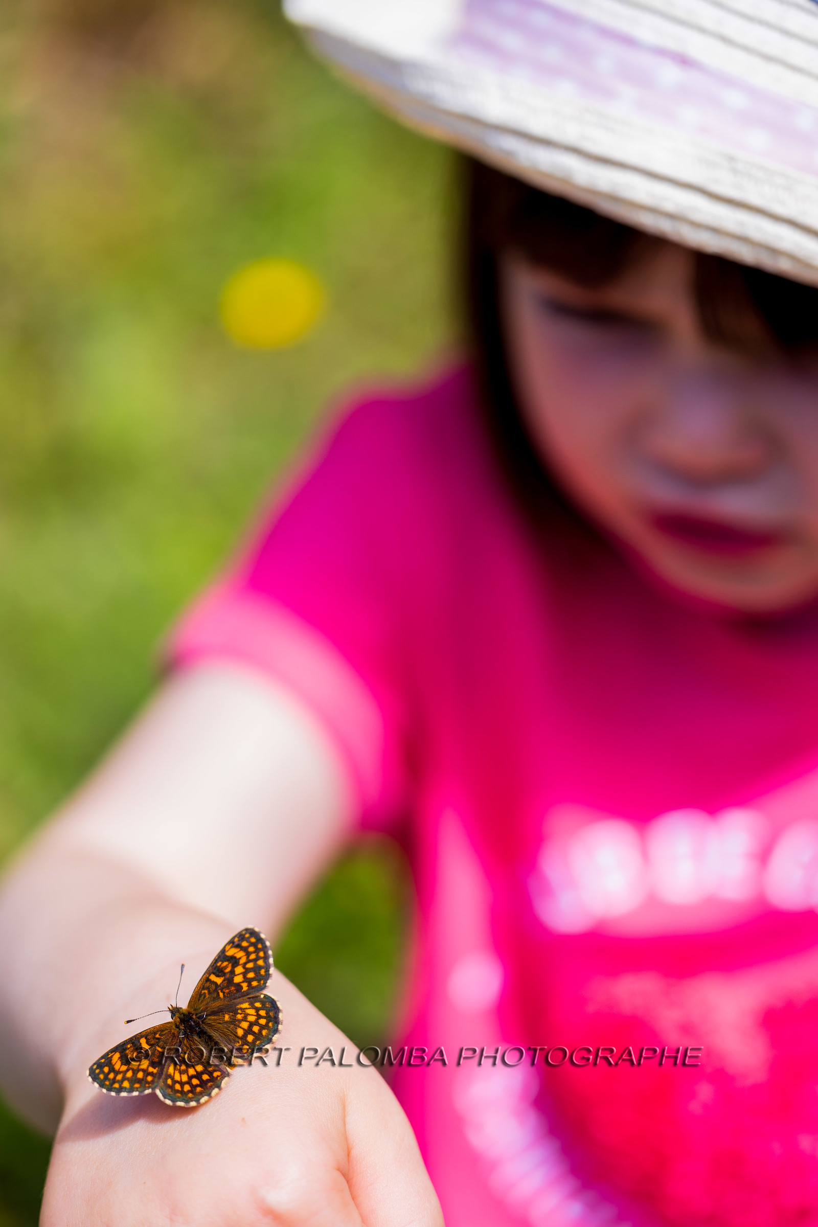 Alpes-de-Haute-Provence (04) Val d'Allos