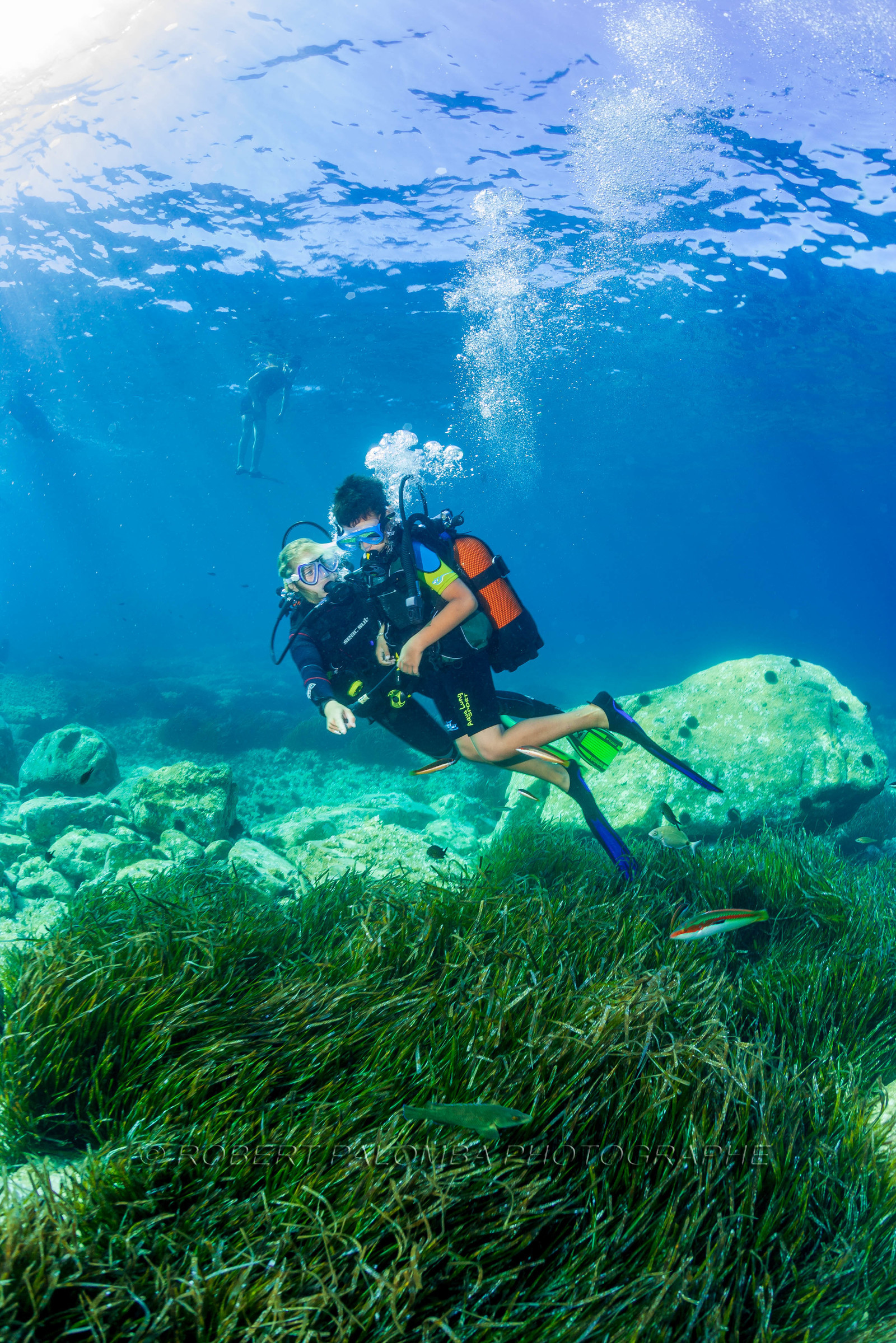 Plongée-sous-marine