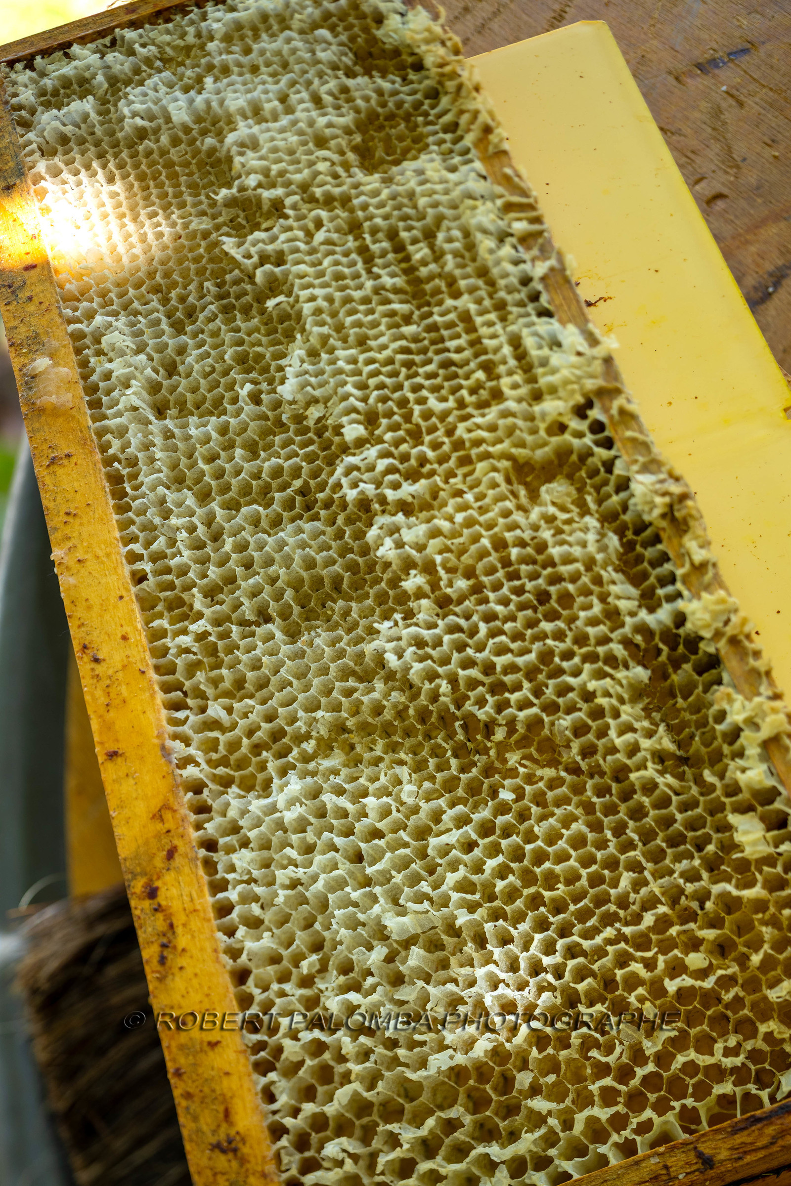 Saint-Jean-Cap-Ferrat