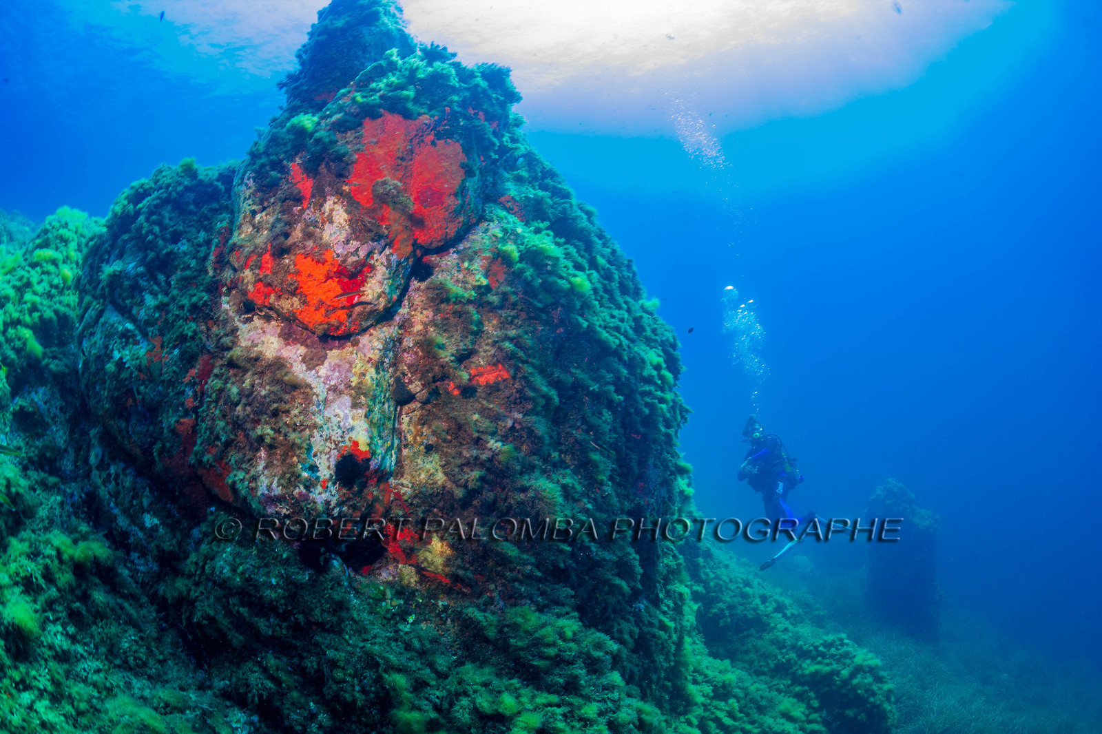 Plongée-sous-marine