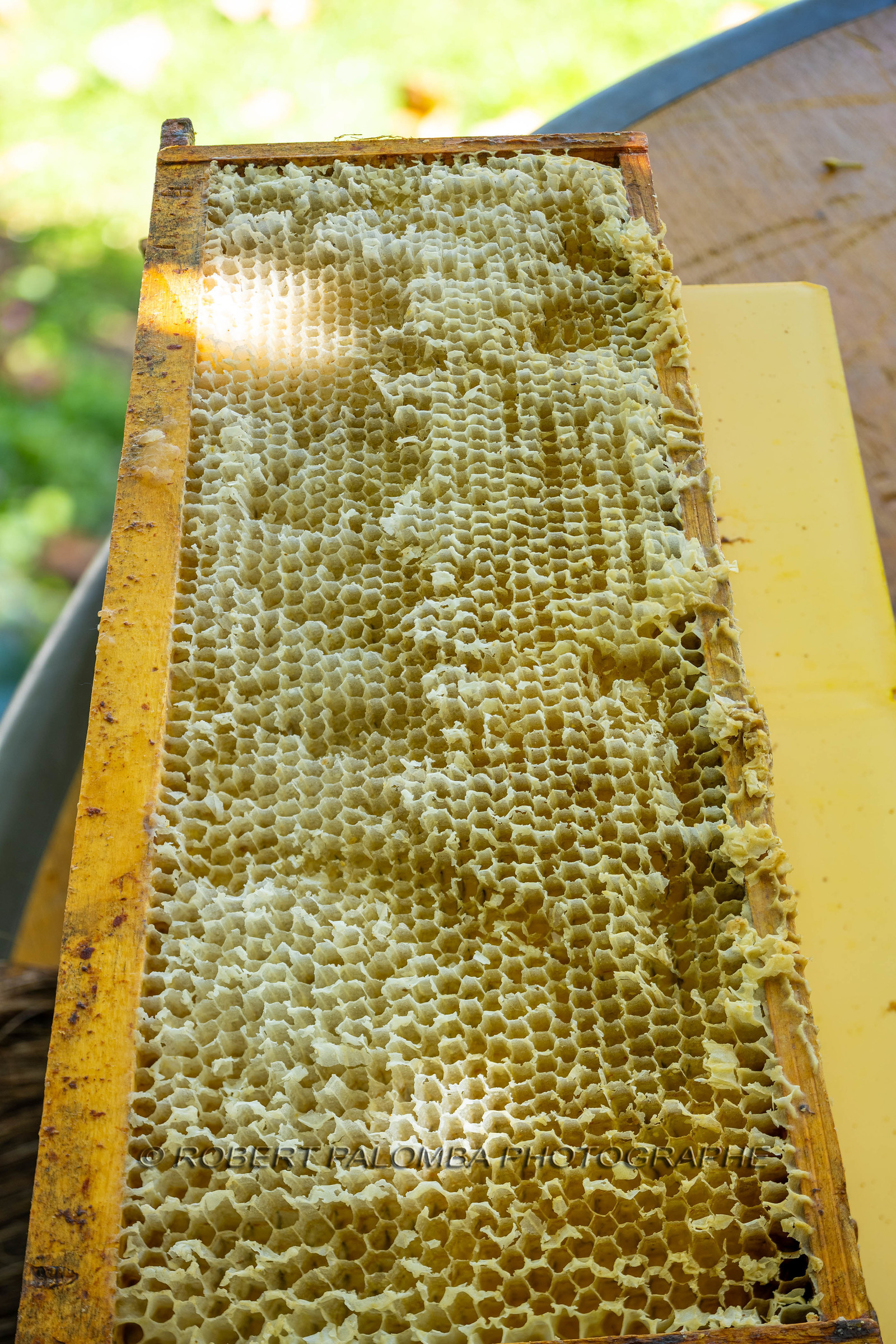 Saint-Jean-Cap-Ferrat