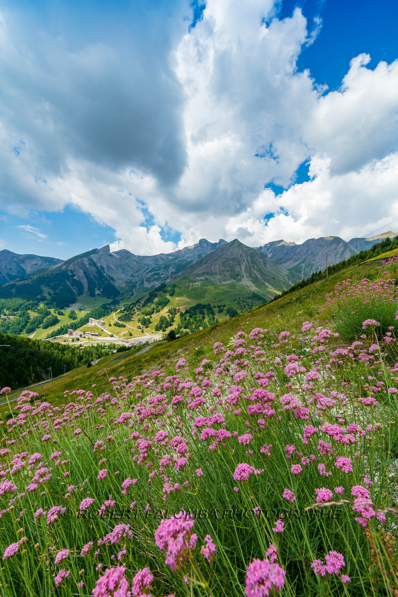 Col d'Allos