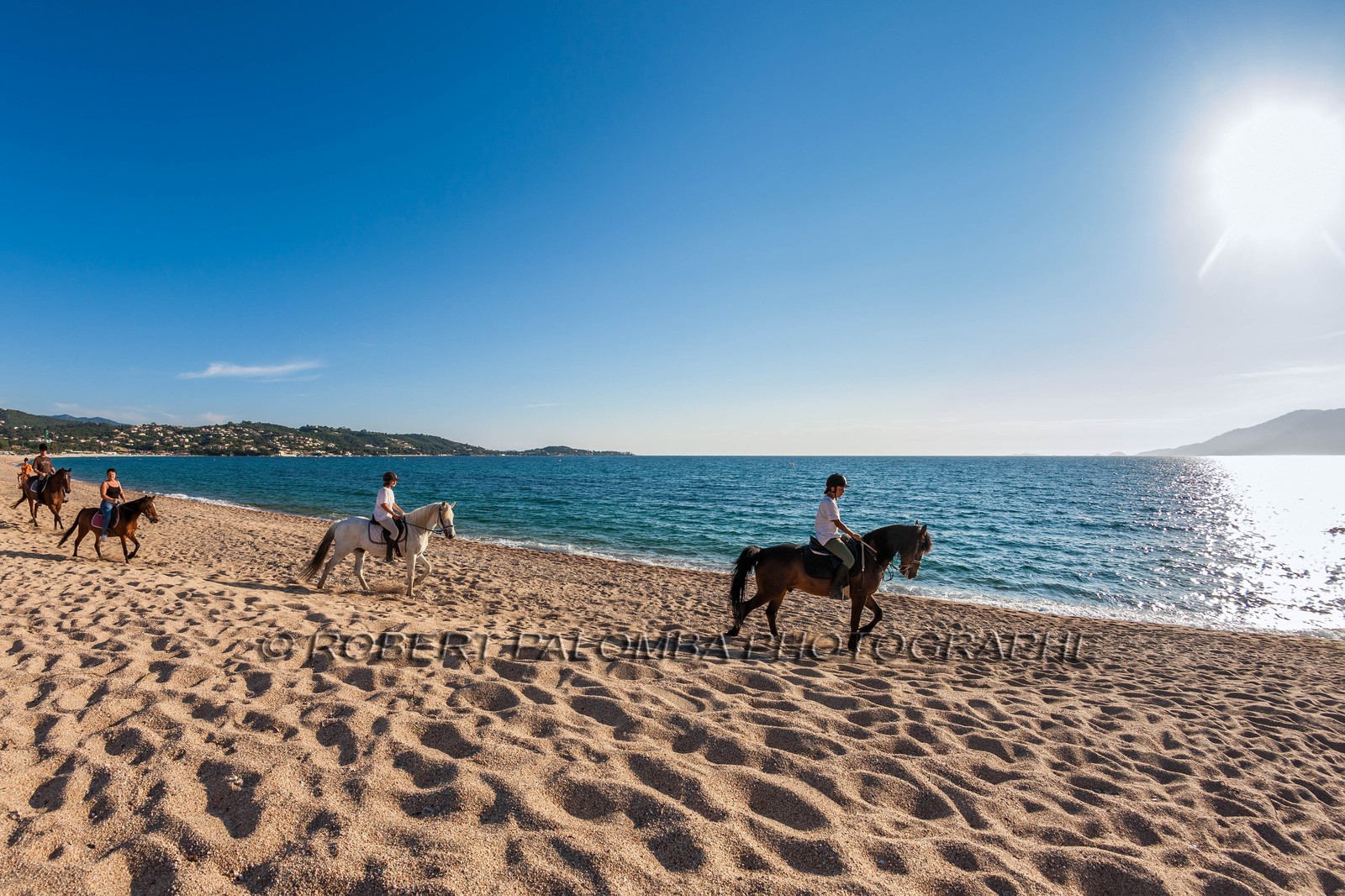 Cheval sur la plage de Porticcio