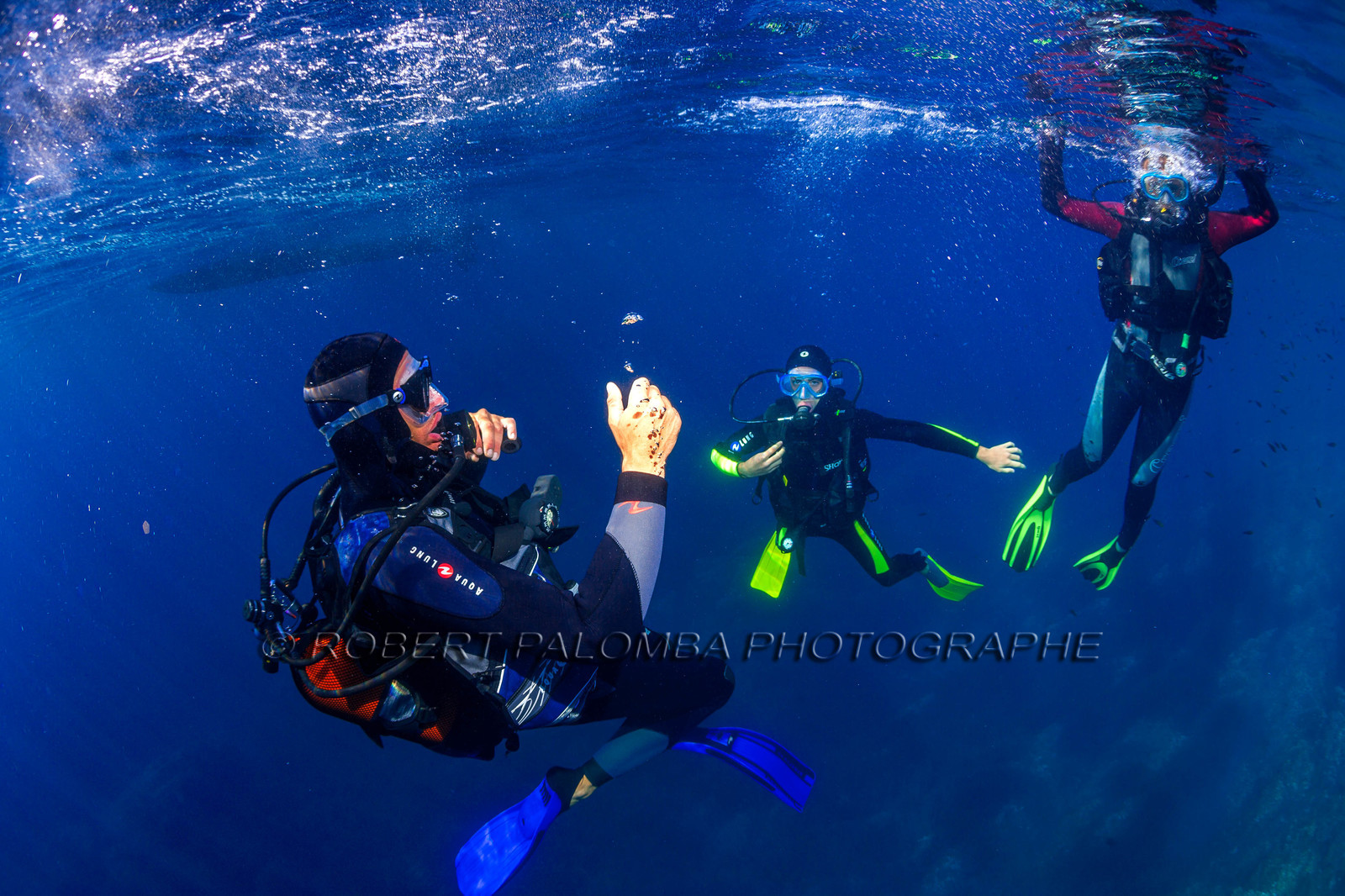 Plongée-sous-marine