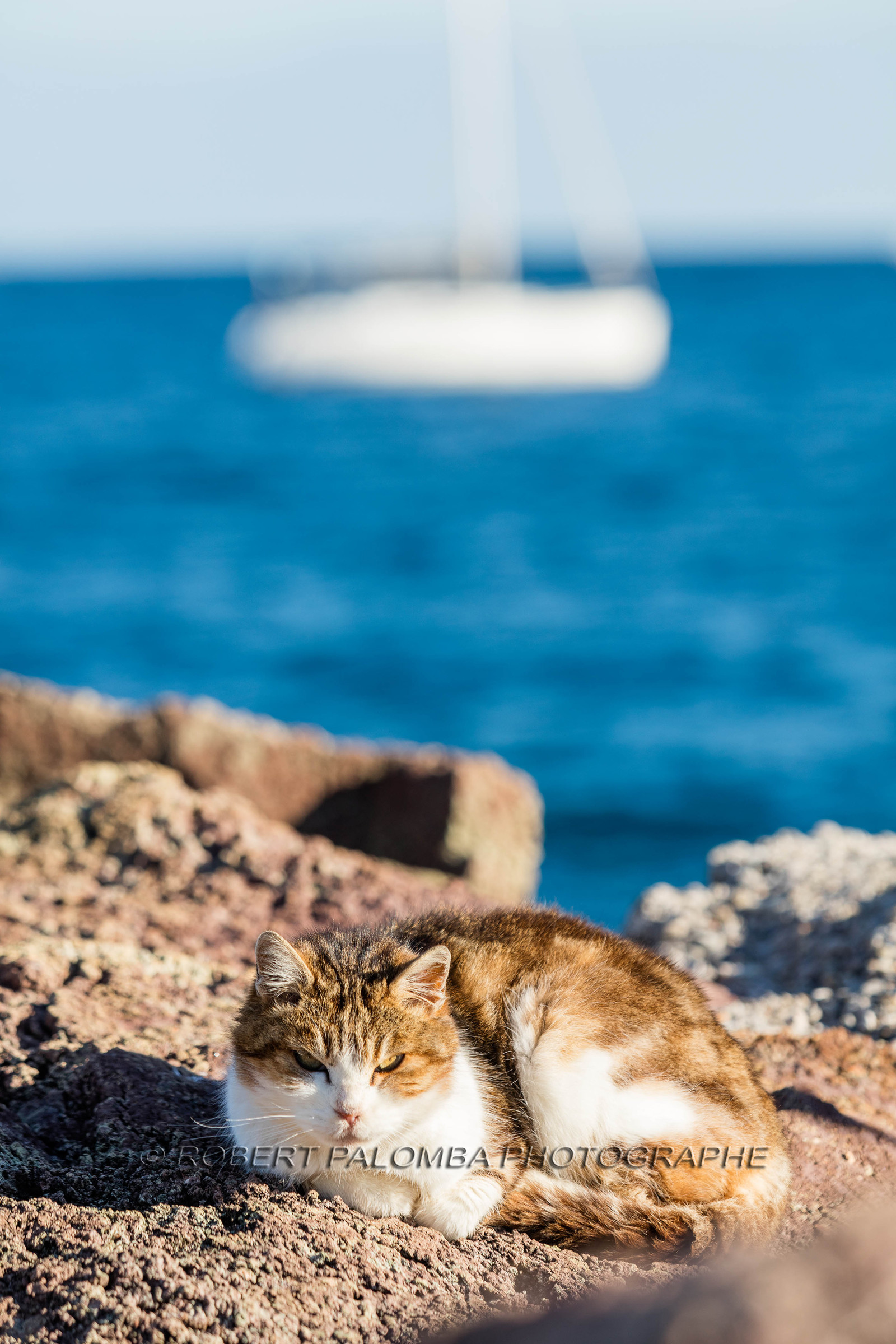 Mandelieu-la-Napoule